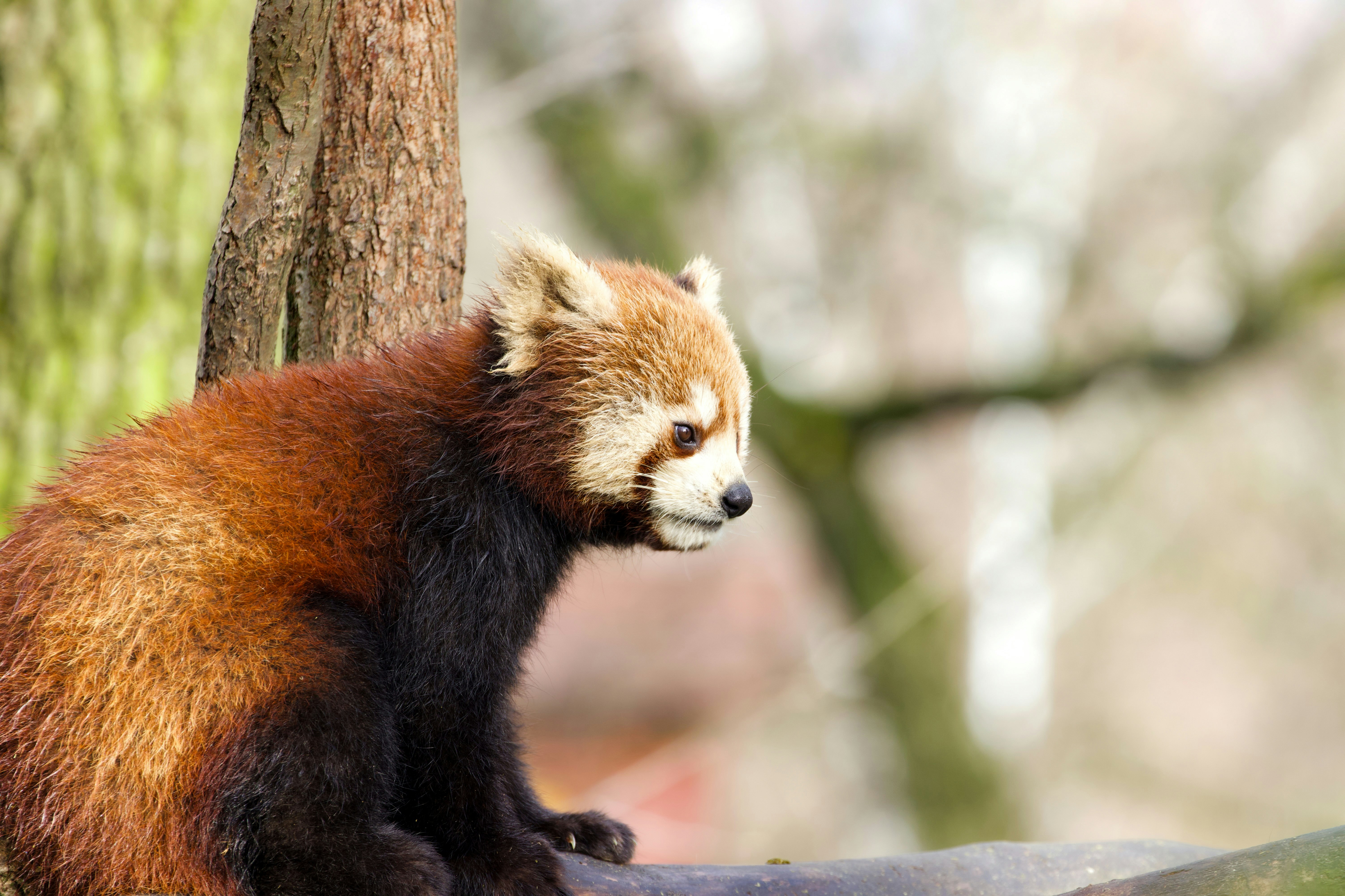 Photo by jakub_neskora