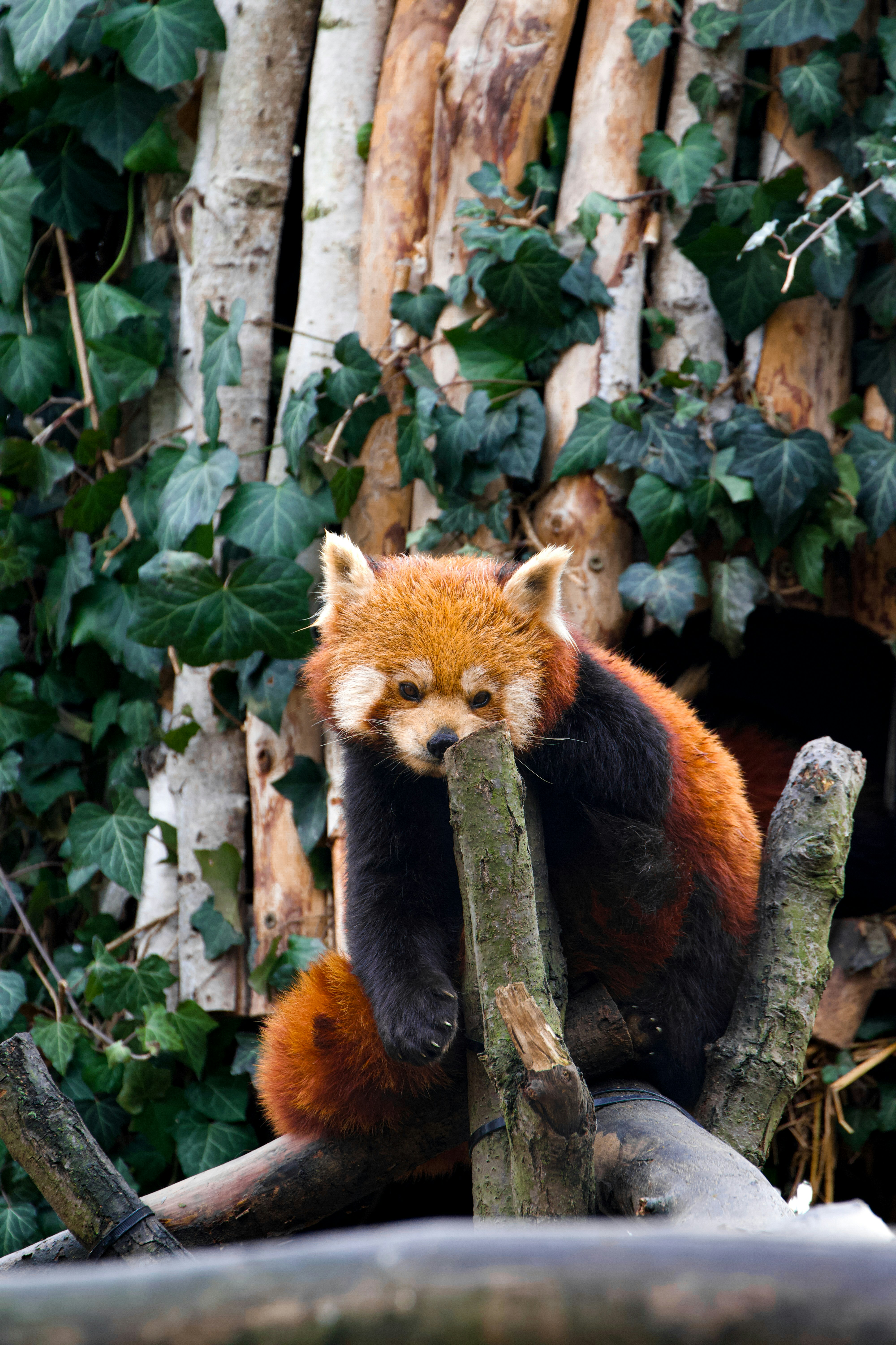 Photo by jakub_neskora