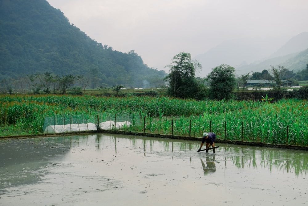 a person standing in a field next to a pond