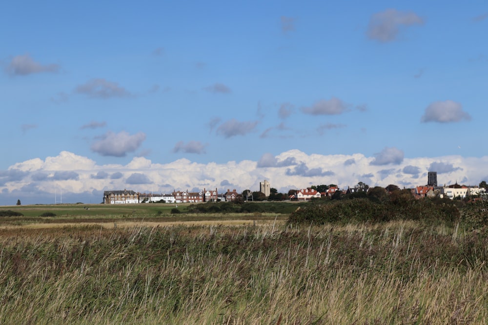 a view of a city from across a field