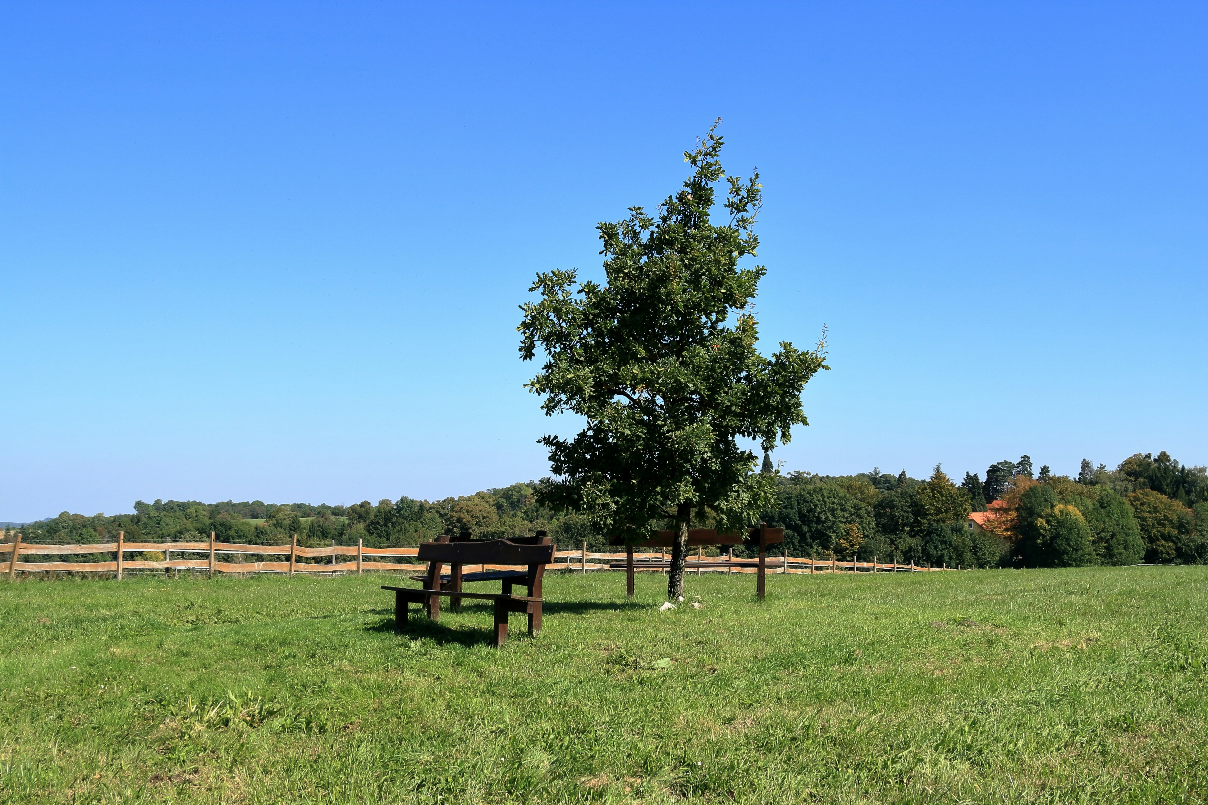 A park bench in the middle of a grassy field photo – Free Countryside ...
