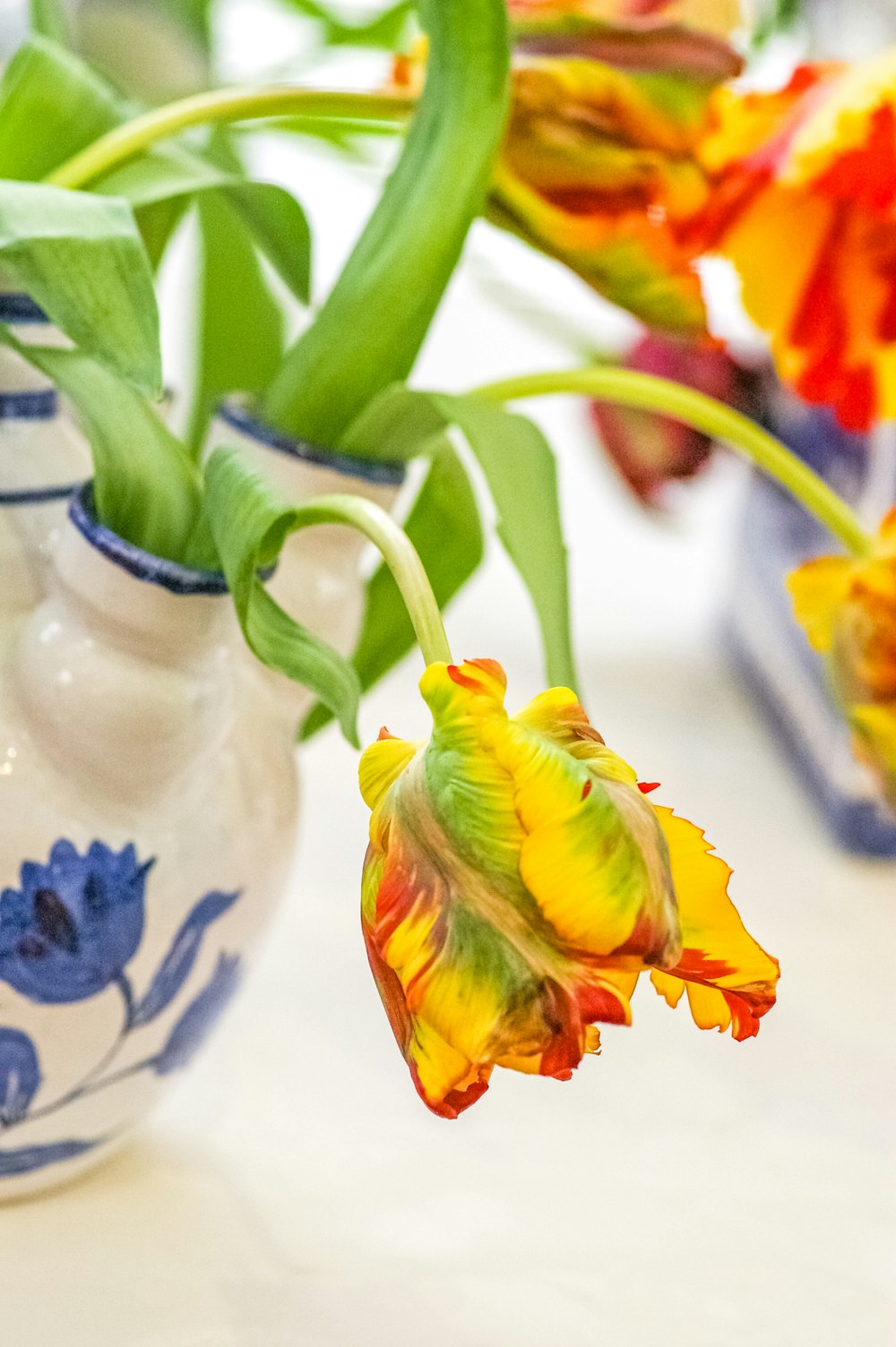 a close up of a flower in a vase