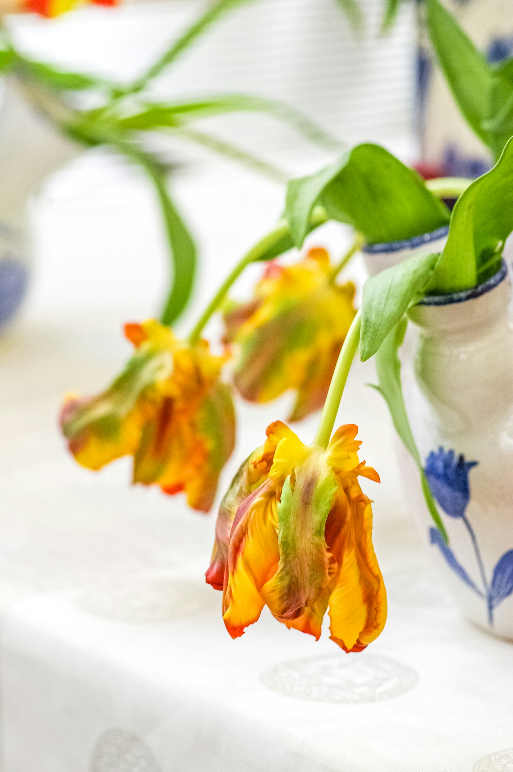 eine Nahaufnahme von Blumen in einer Vase auf einem Tisch