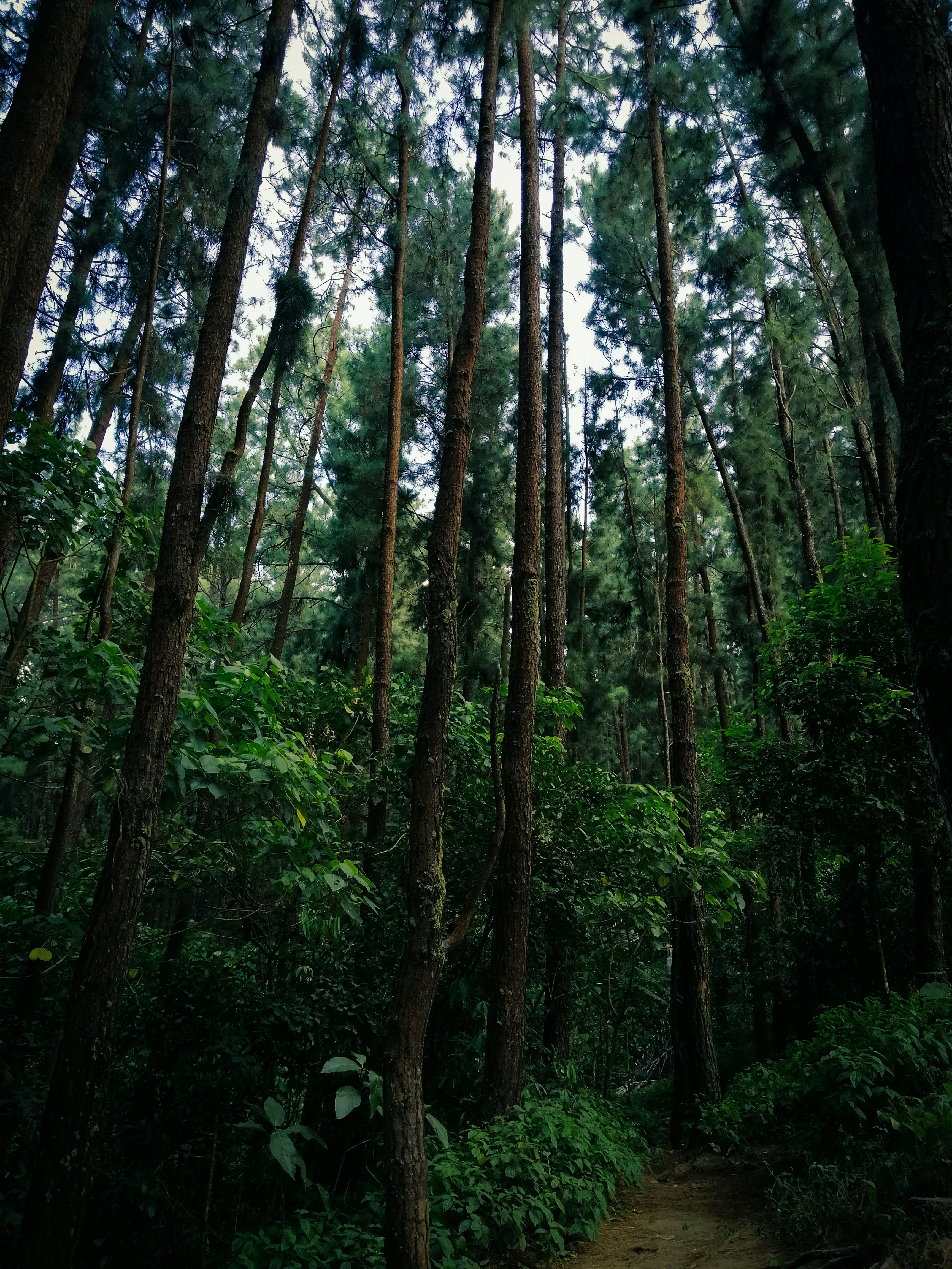 Photo by emmanual_jose