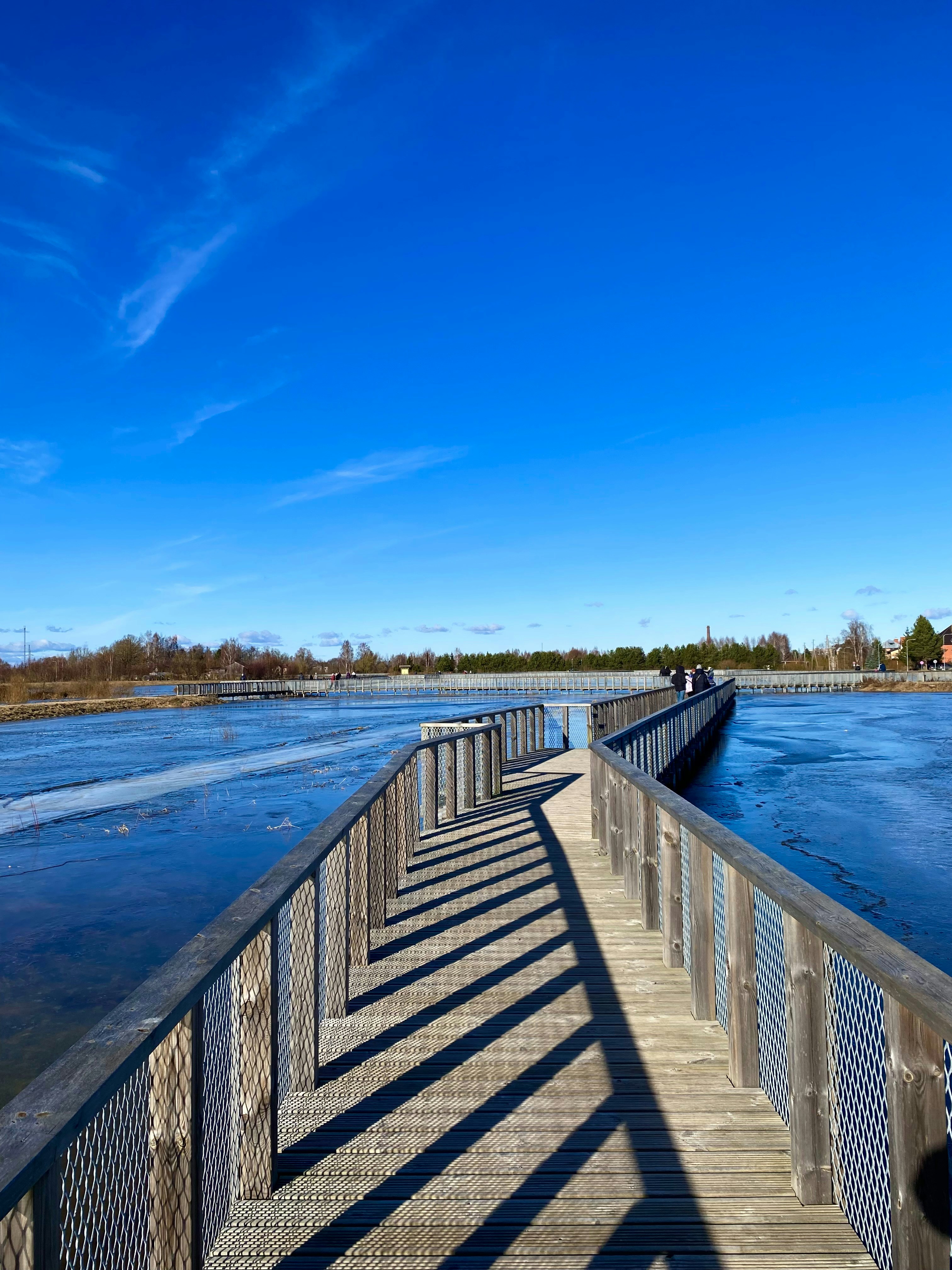 Photo by suprememrcat