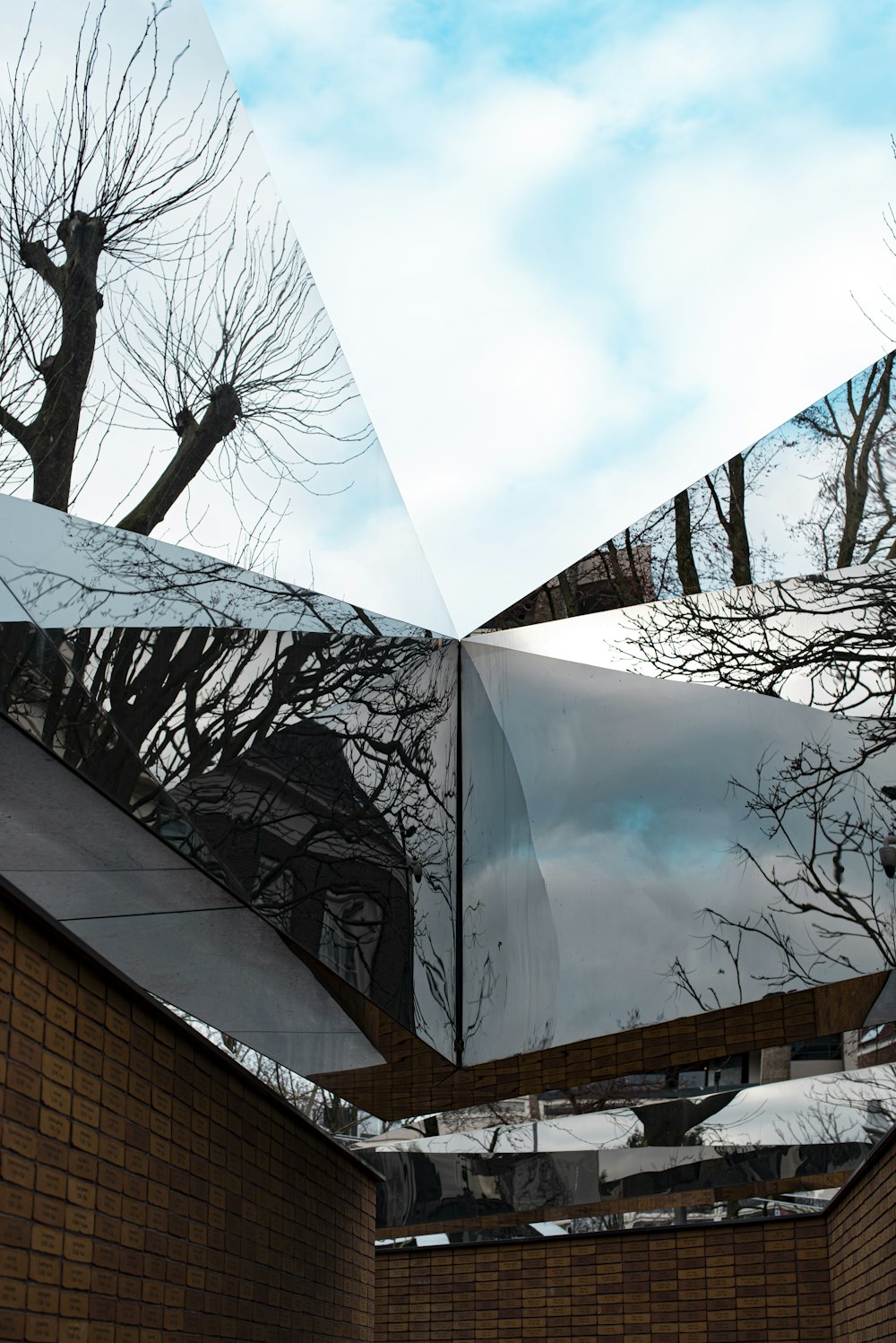 a reflection of a tree in a mirror