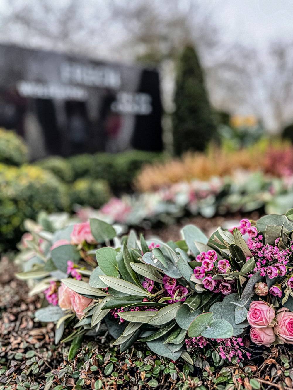 a bunch of flowers that are in the dirt