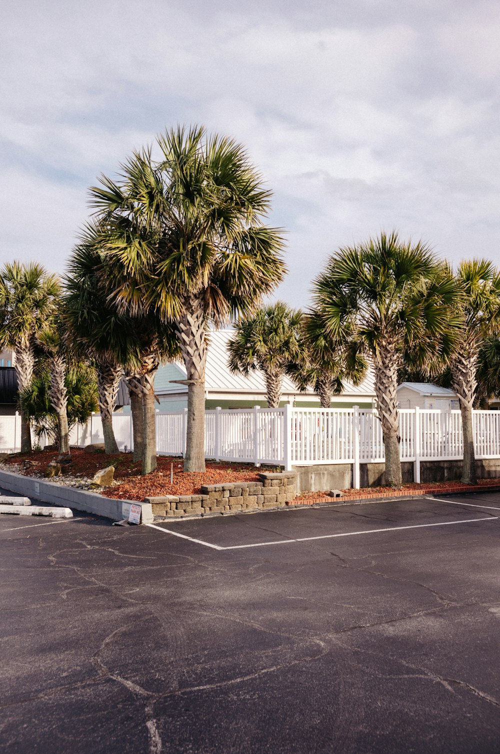 a parking lot with palm trees and a white fence