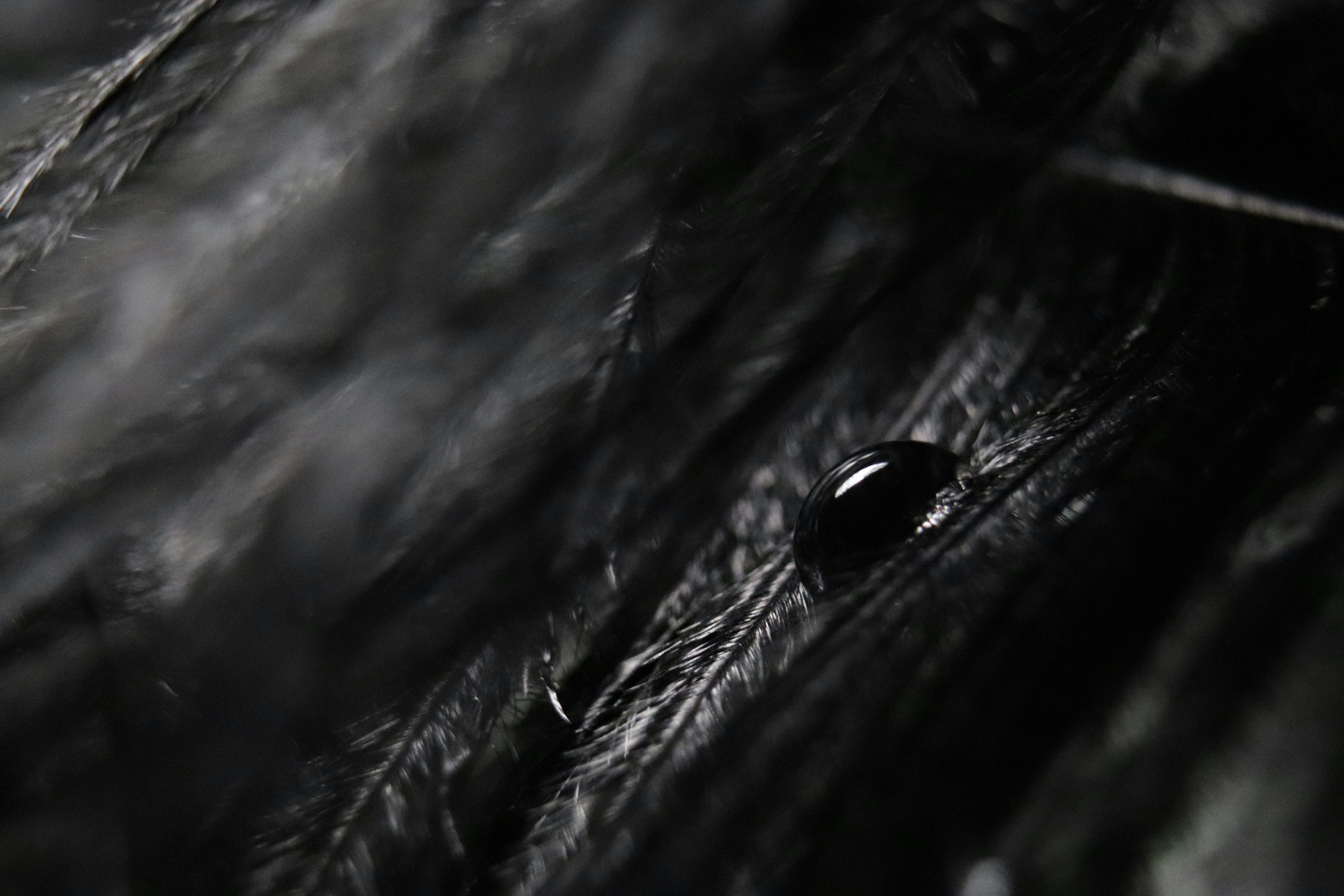 Photo by shawny_yana