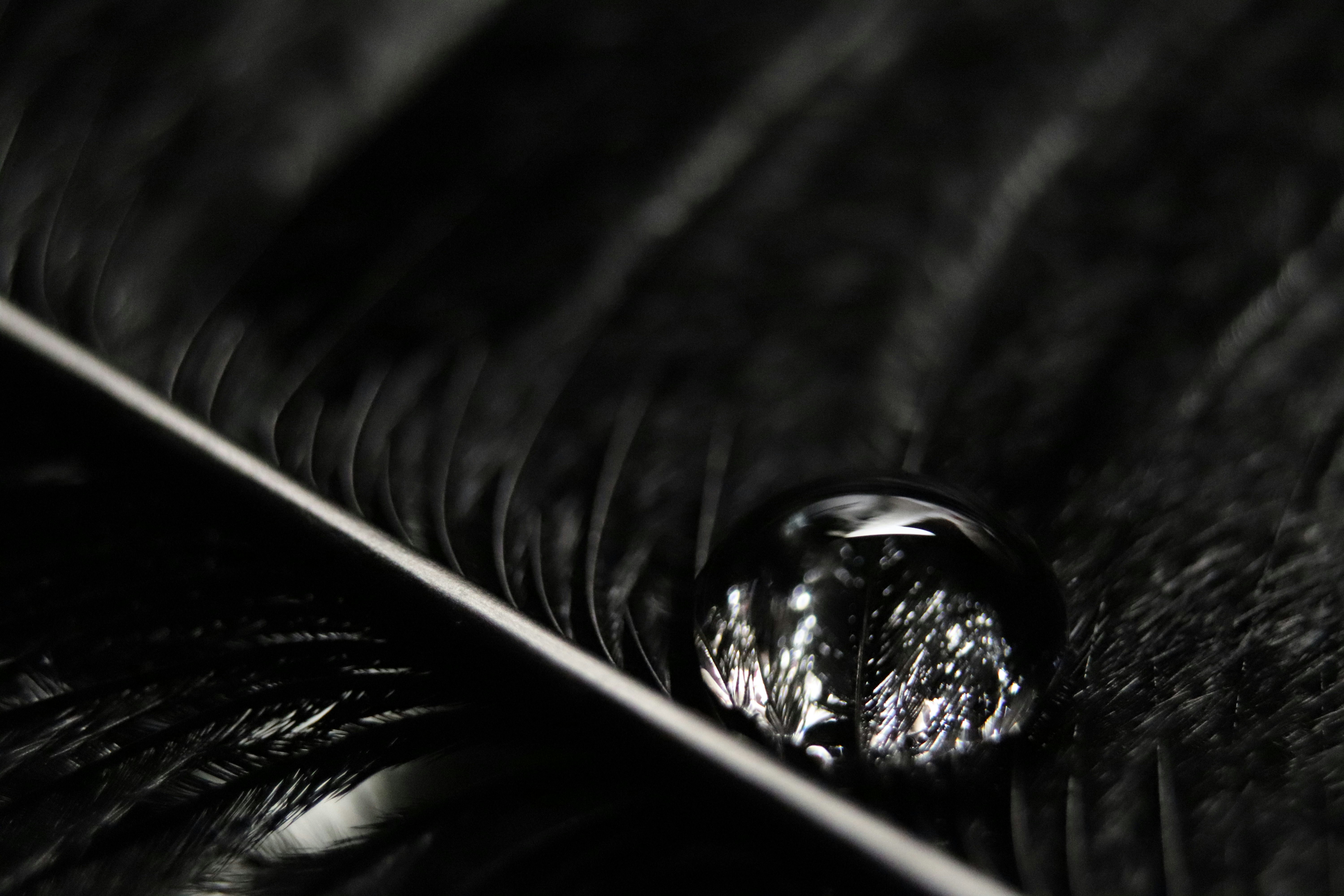 Photo by shawny_yana