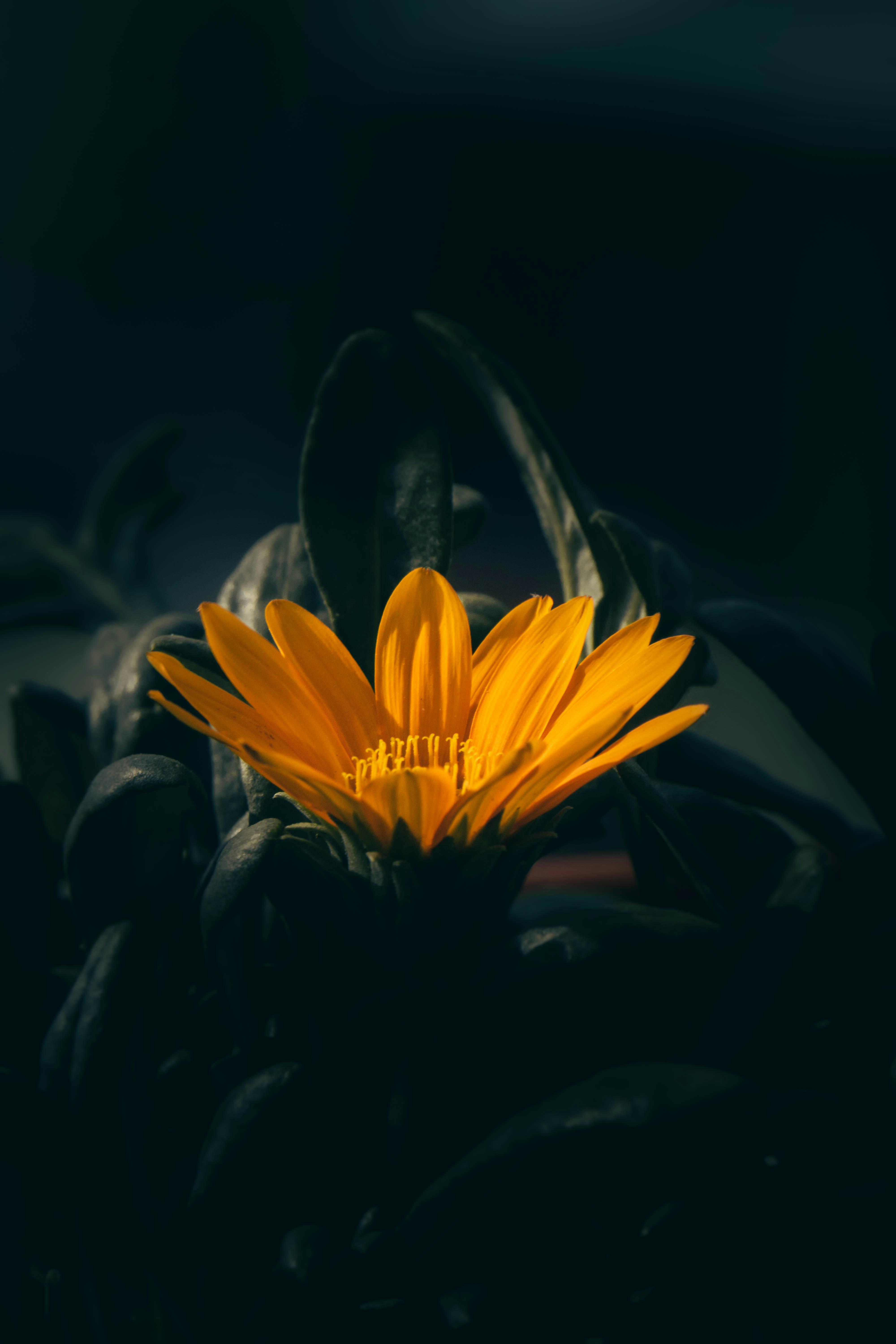Photo by pranav1124