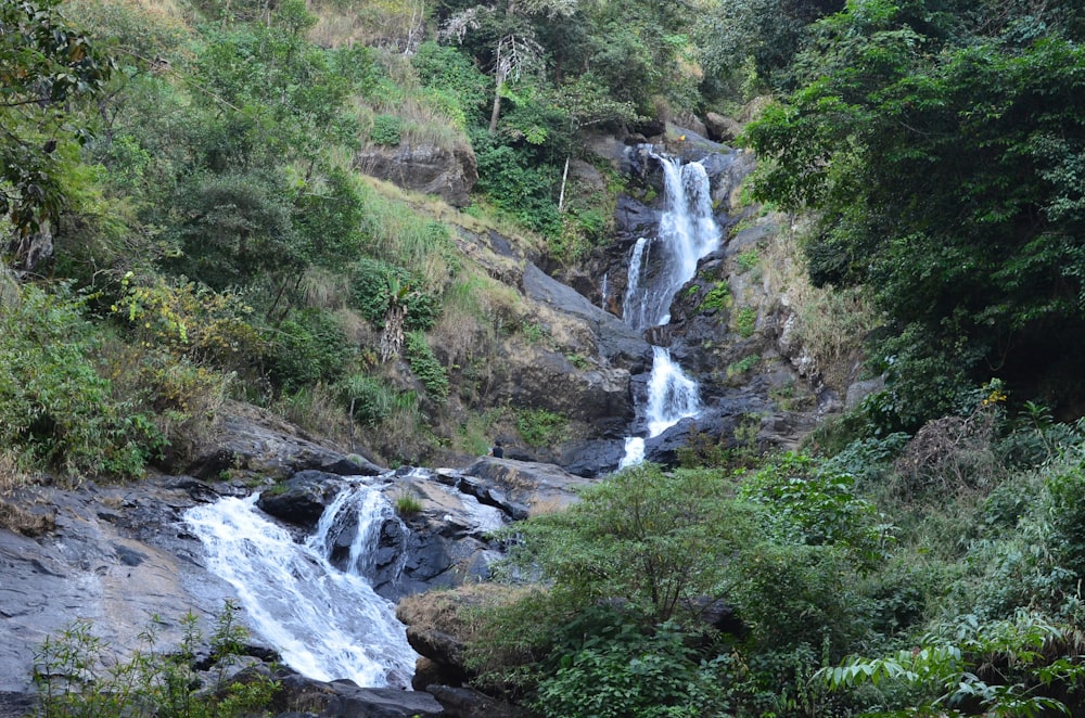 a waterfall in the middle of a forest