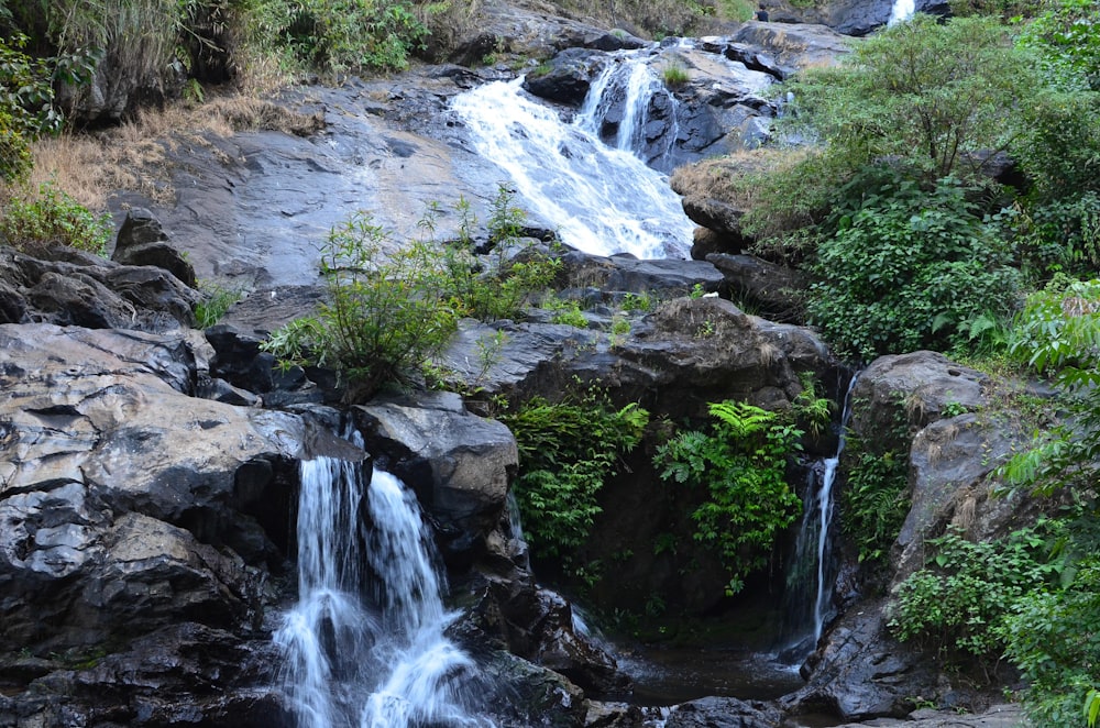 a small waterfall in the middle of a forest