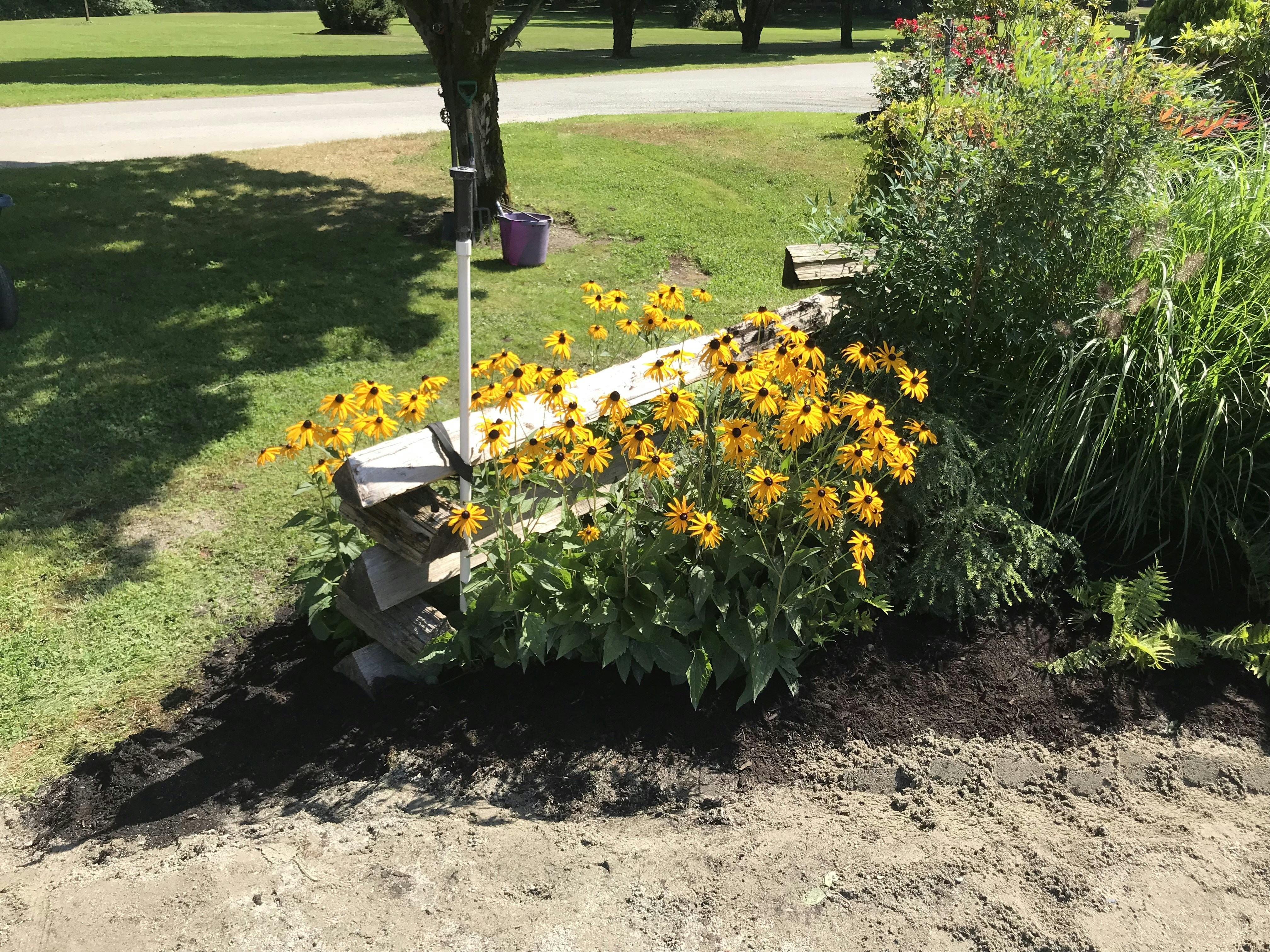 a bench sitting in the middle of a field of flowers