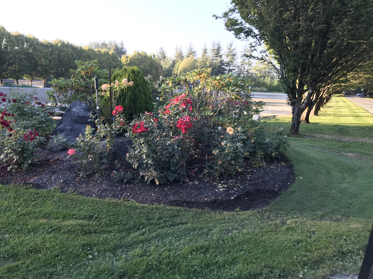 Landscaping — Same Day