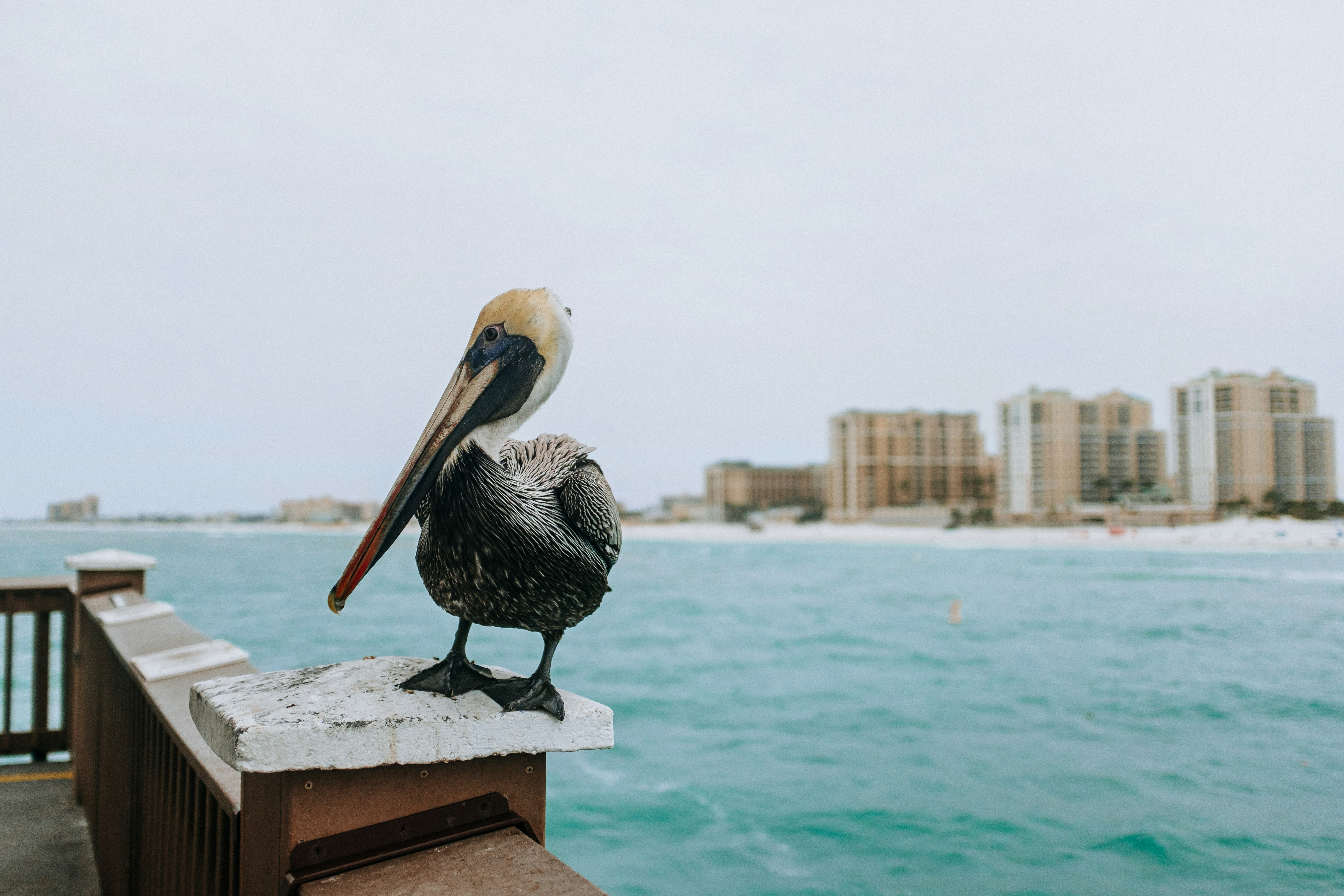 Photo by keithtanman