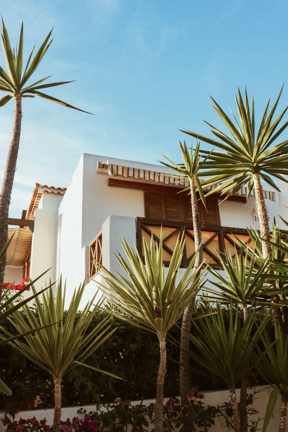 a white building with palm trees in front of it