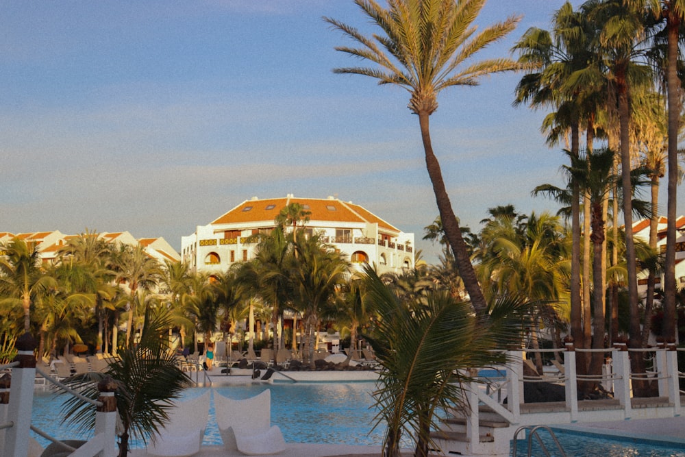 a hotel with a pool surrounded by palm trees