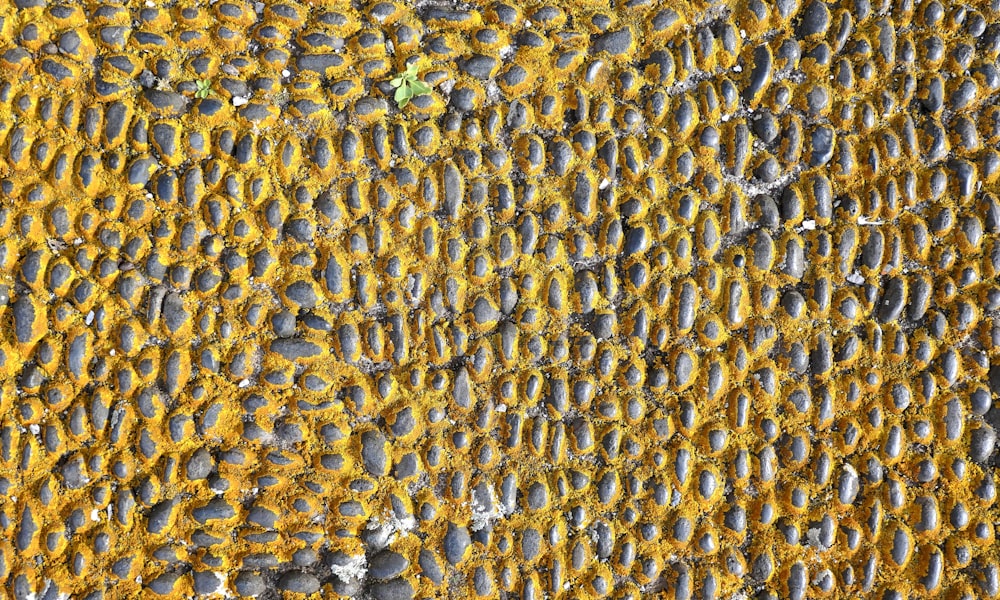 a close up of a yellow and gray wall