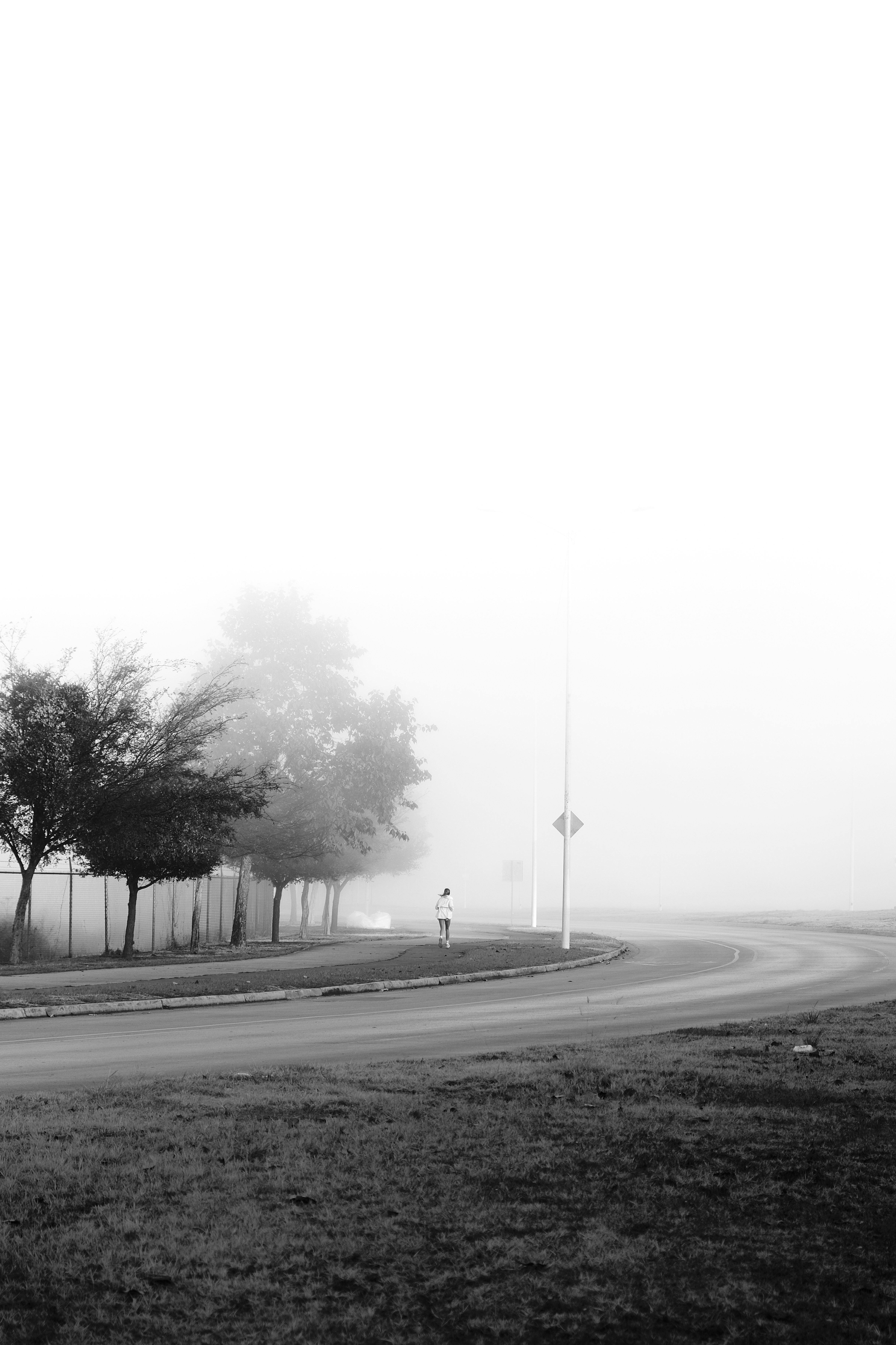 Photo by brunocervera