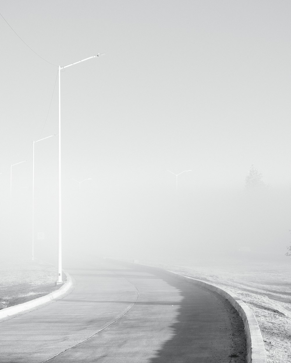 Une photo en noir et blanc d’une route brumeuse