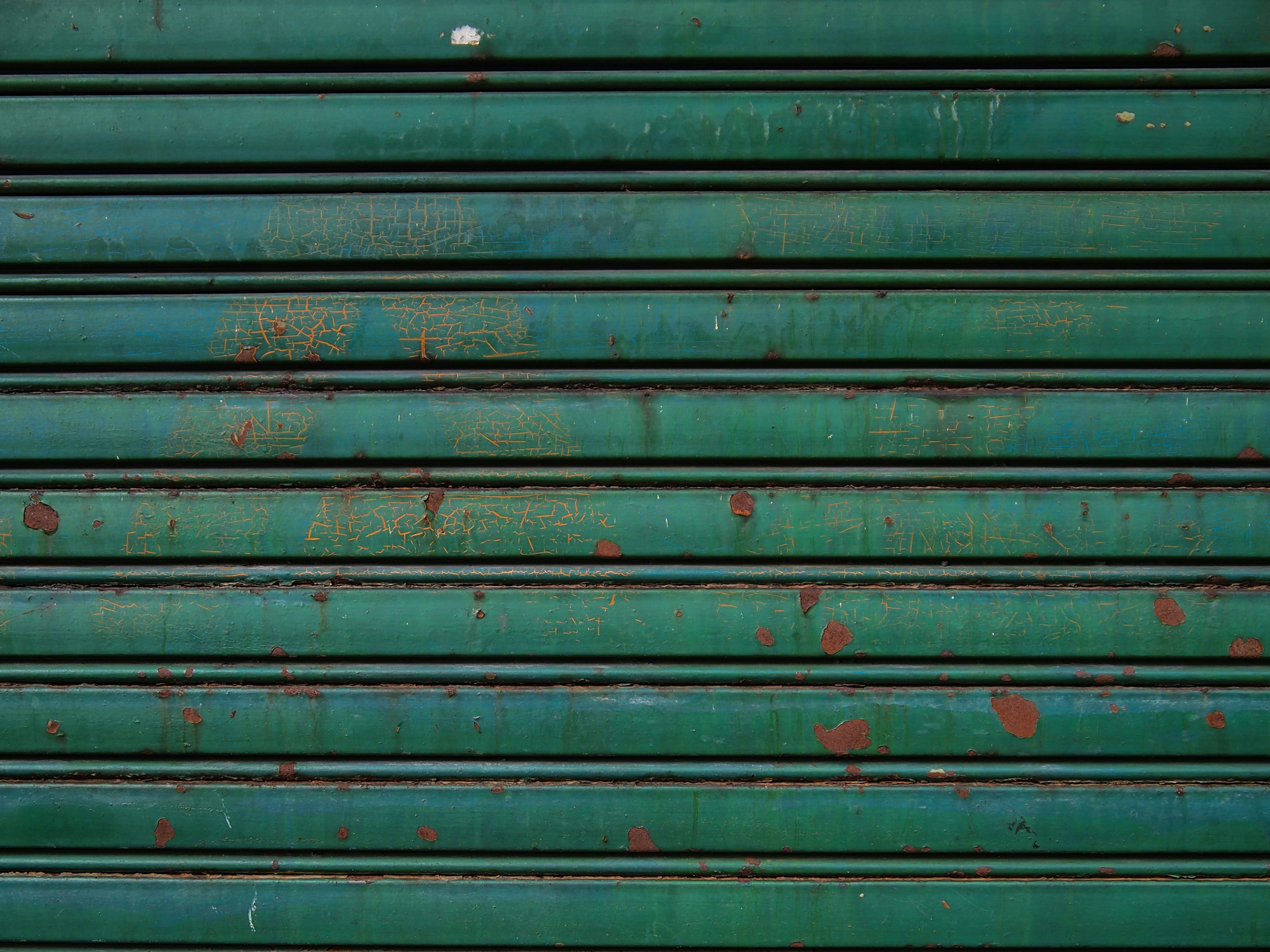 a red fire hydrant sitting in front of a green garage door