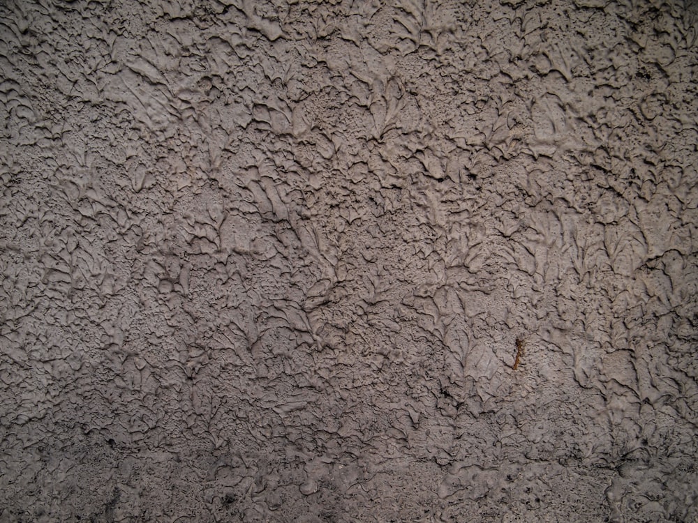 빨간 소화전이 있는 시멘트 벽의 클로즈업