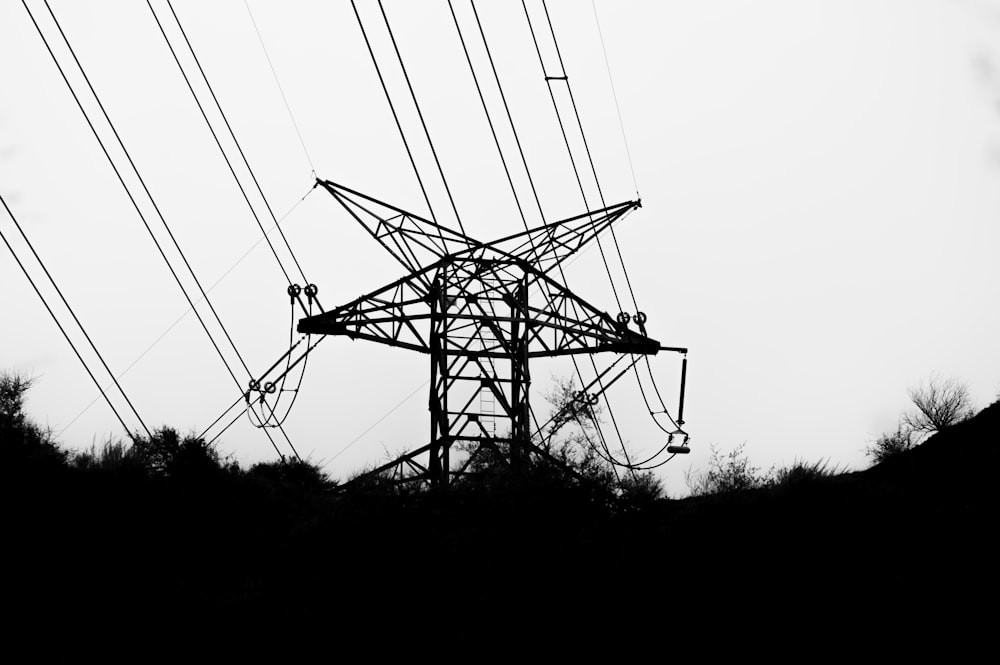 a black and white photo of a power line