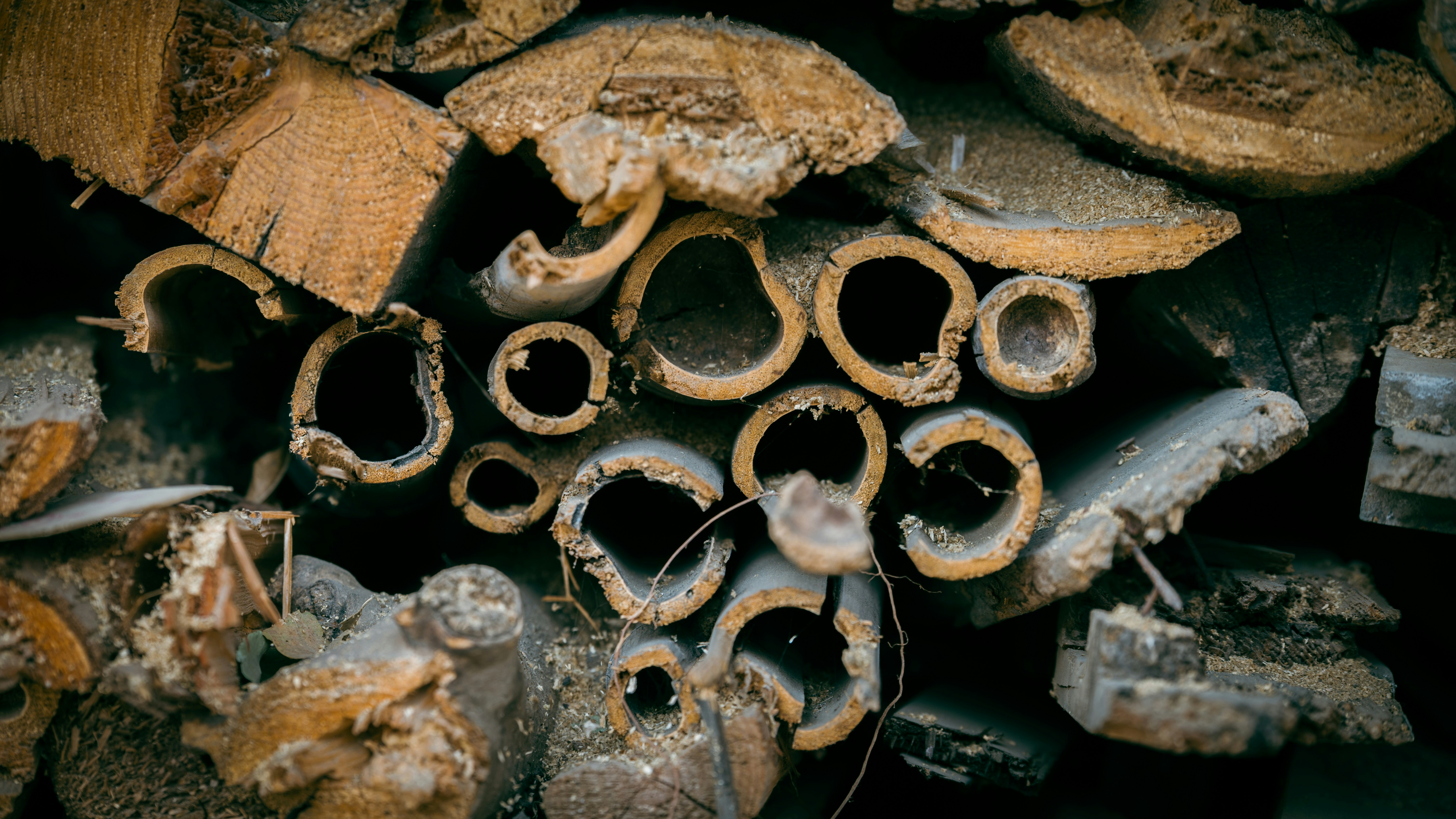 Photo by peek_a_boo_who