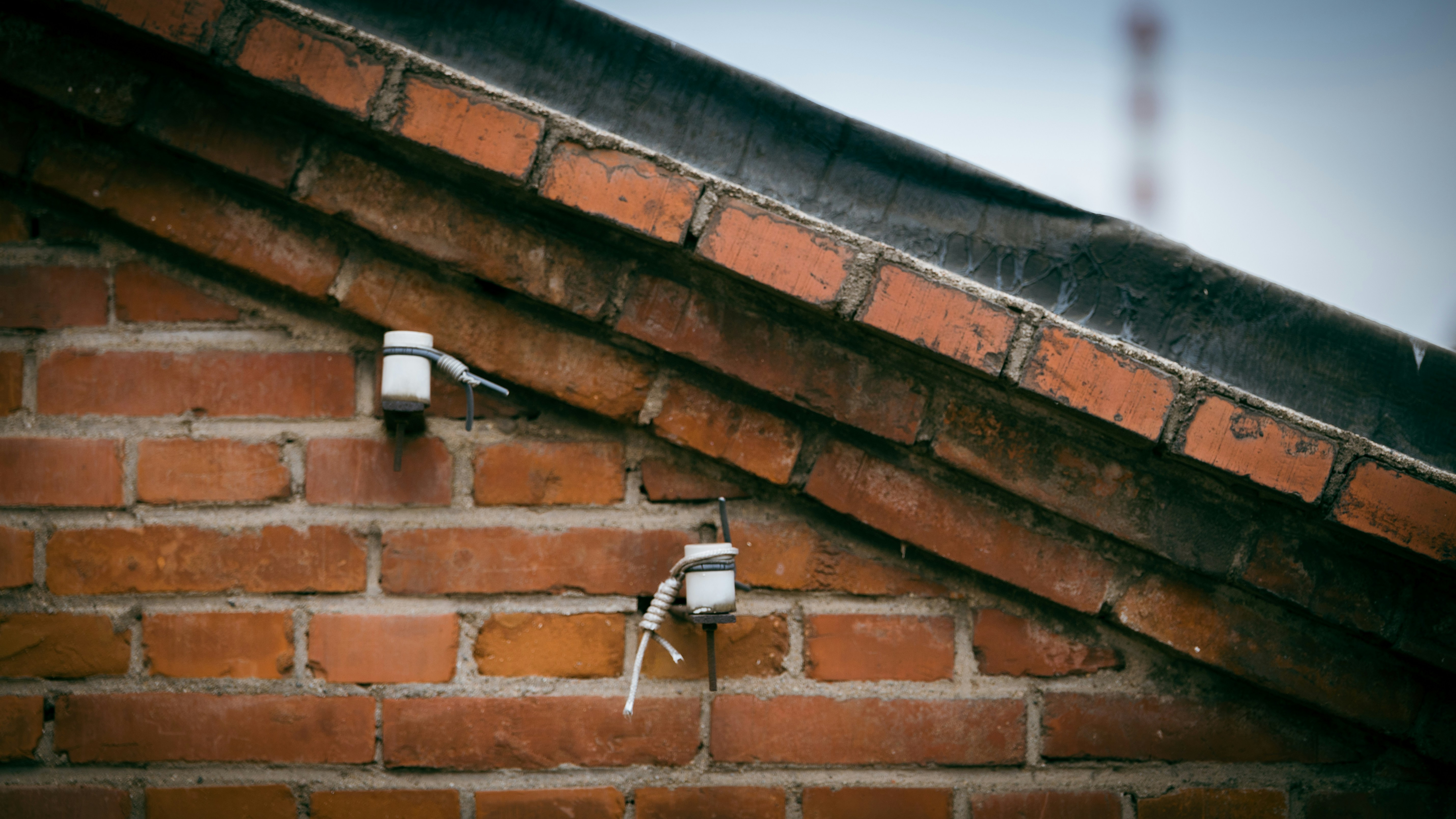 Photo by peek_a_boo_who