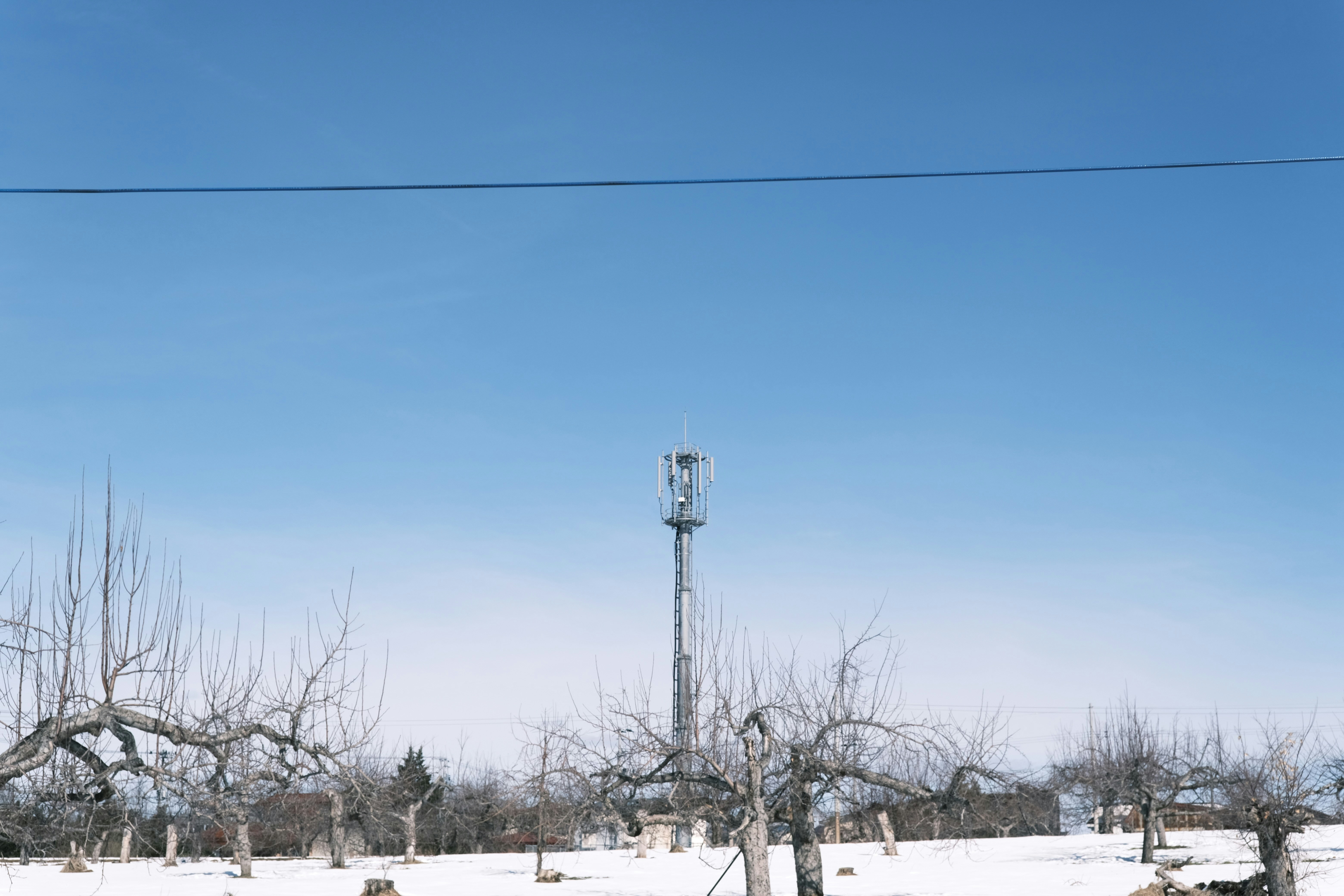 Photo by seiya_maeda