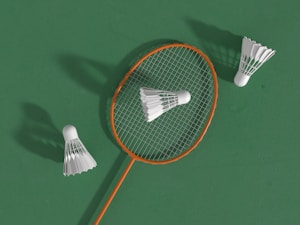Badminton