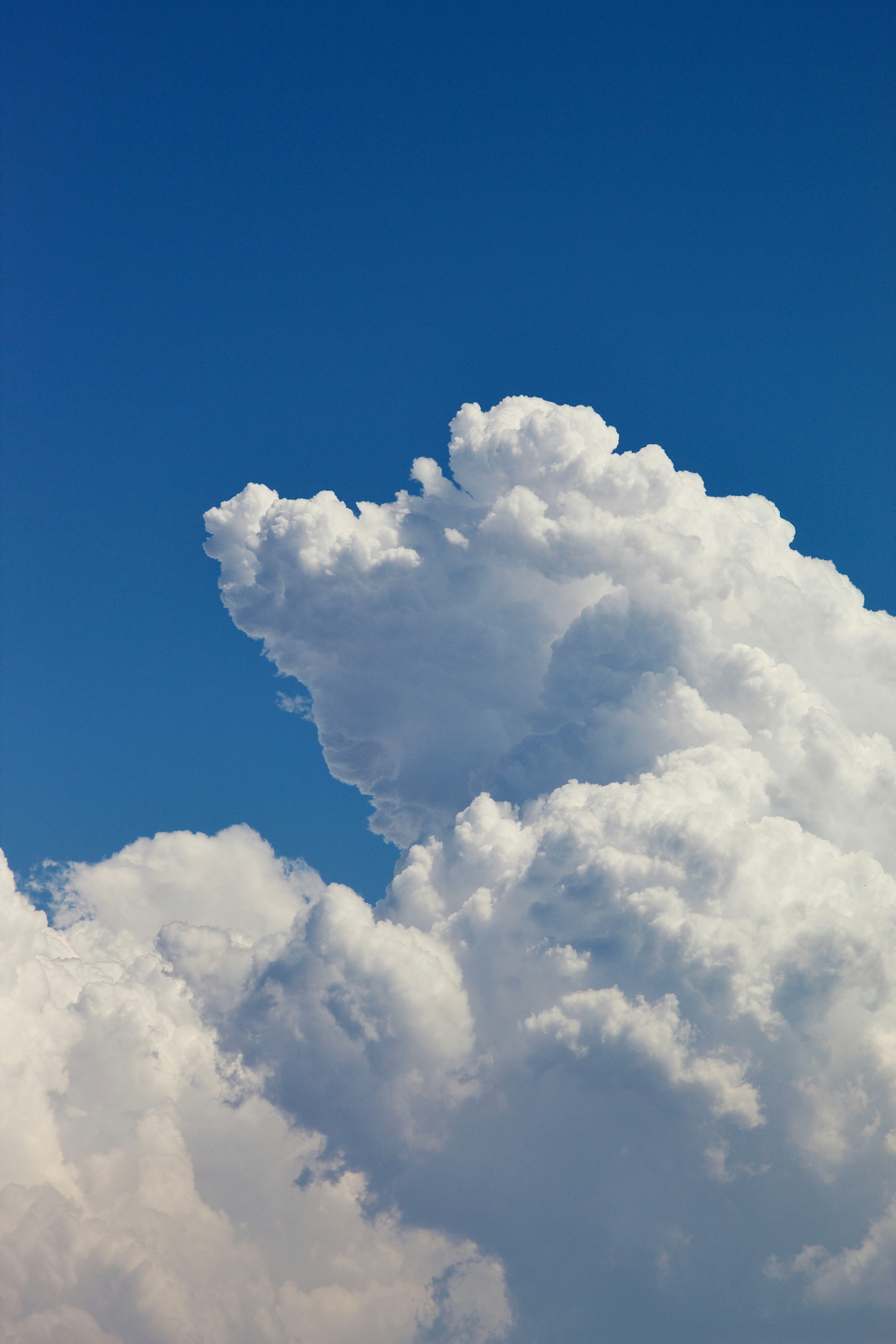 Photo by moirafbittner