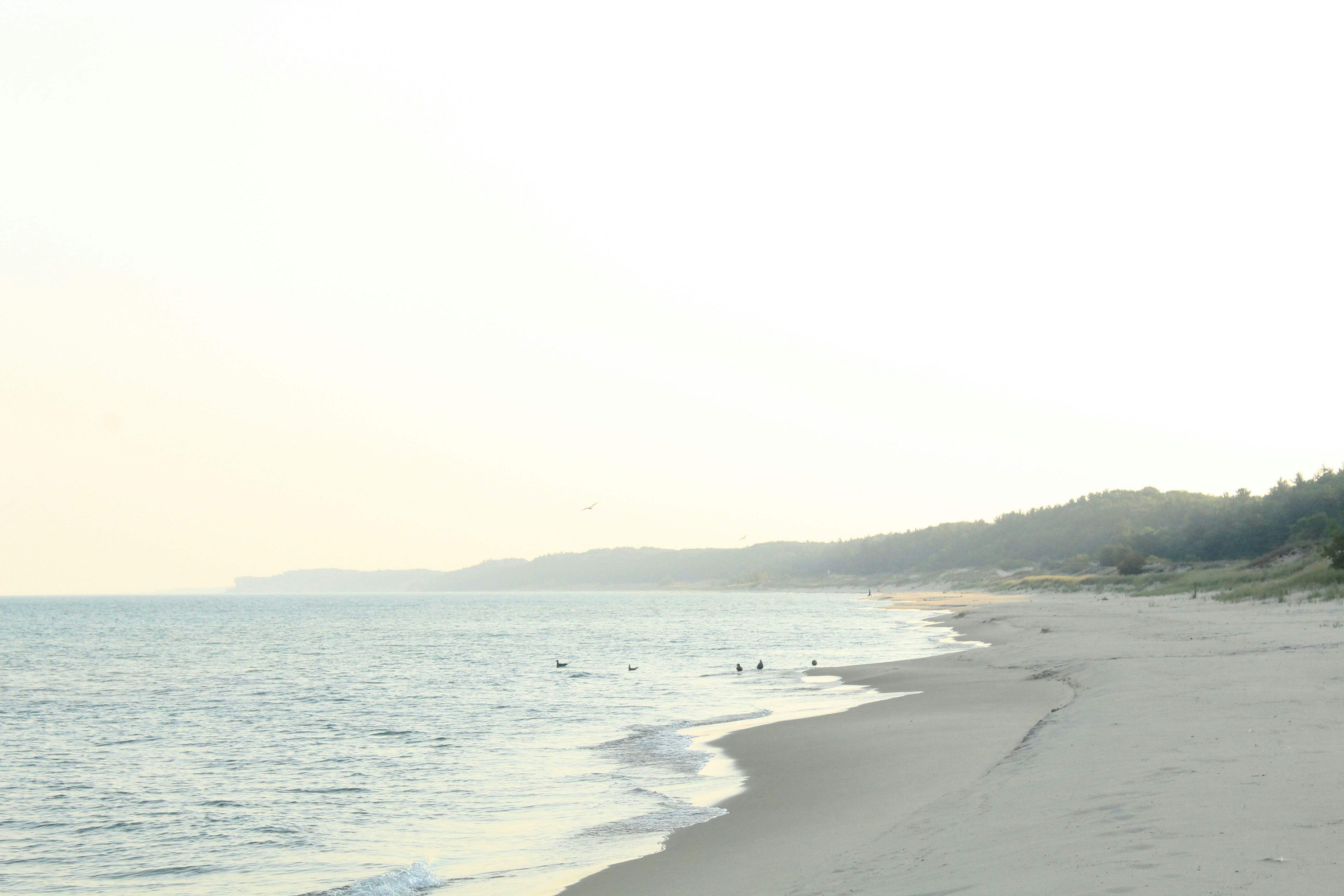 Photo by pattitorcik