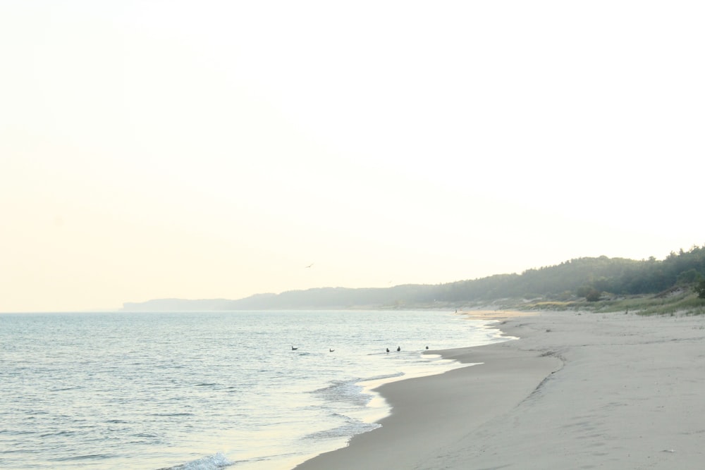 une vue d’une plage avec des gens dans l’eau