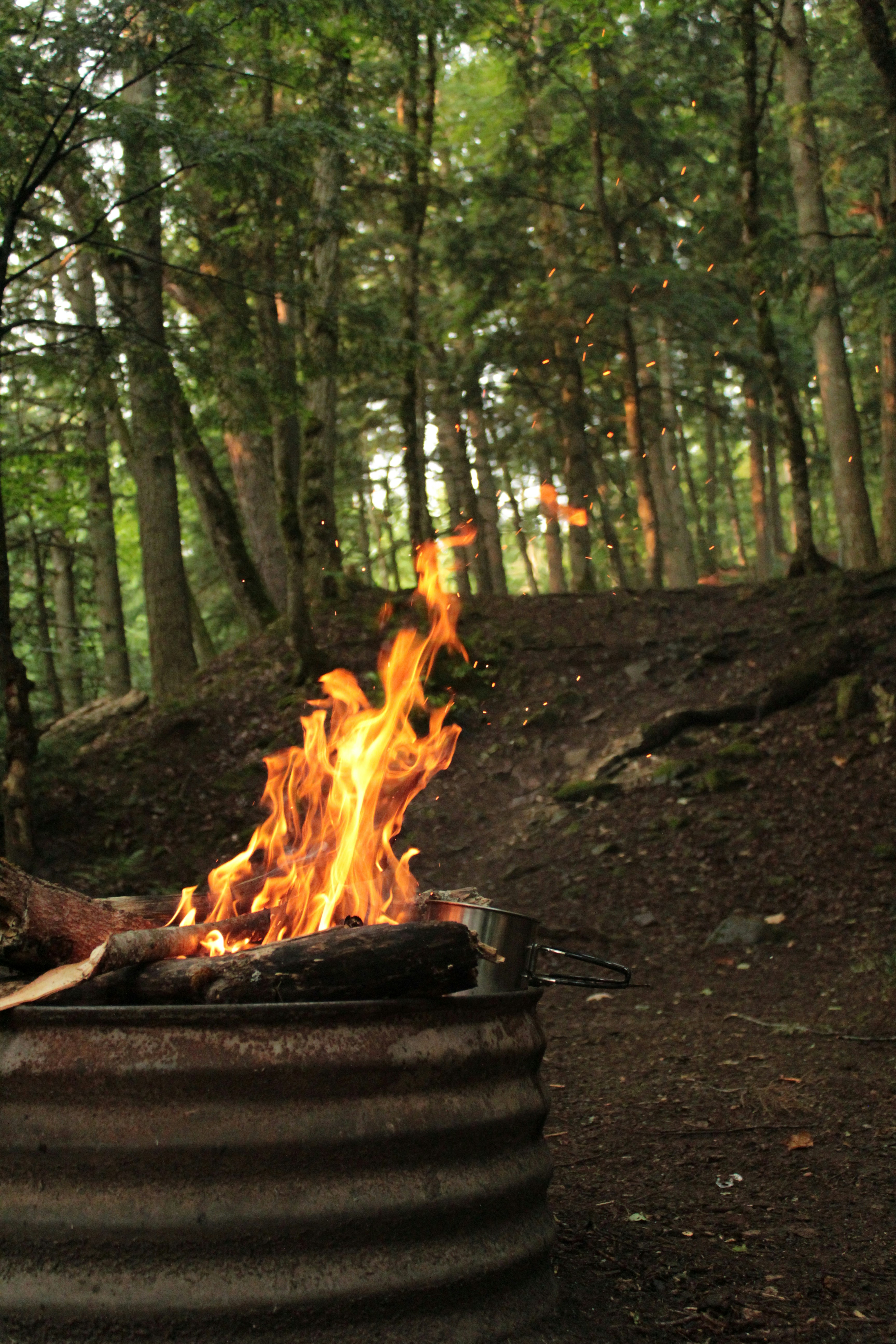 Photo by pattitorcik