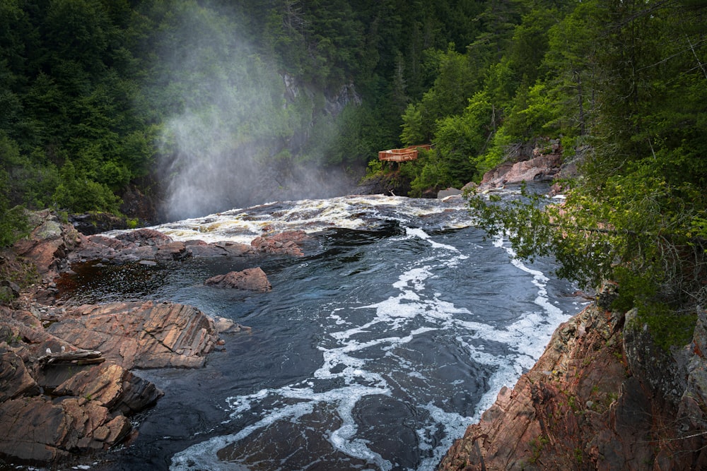 a river flowing through a lush green forest