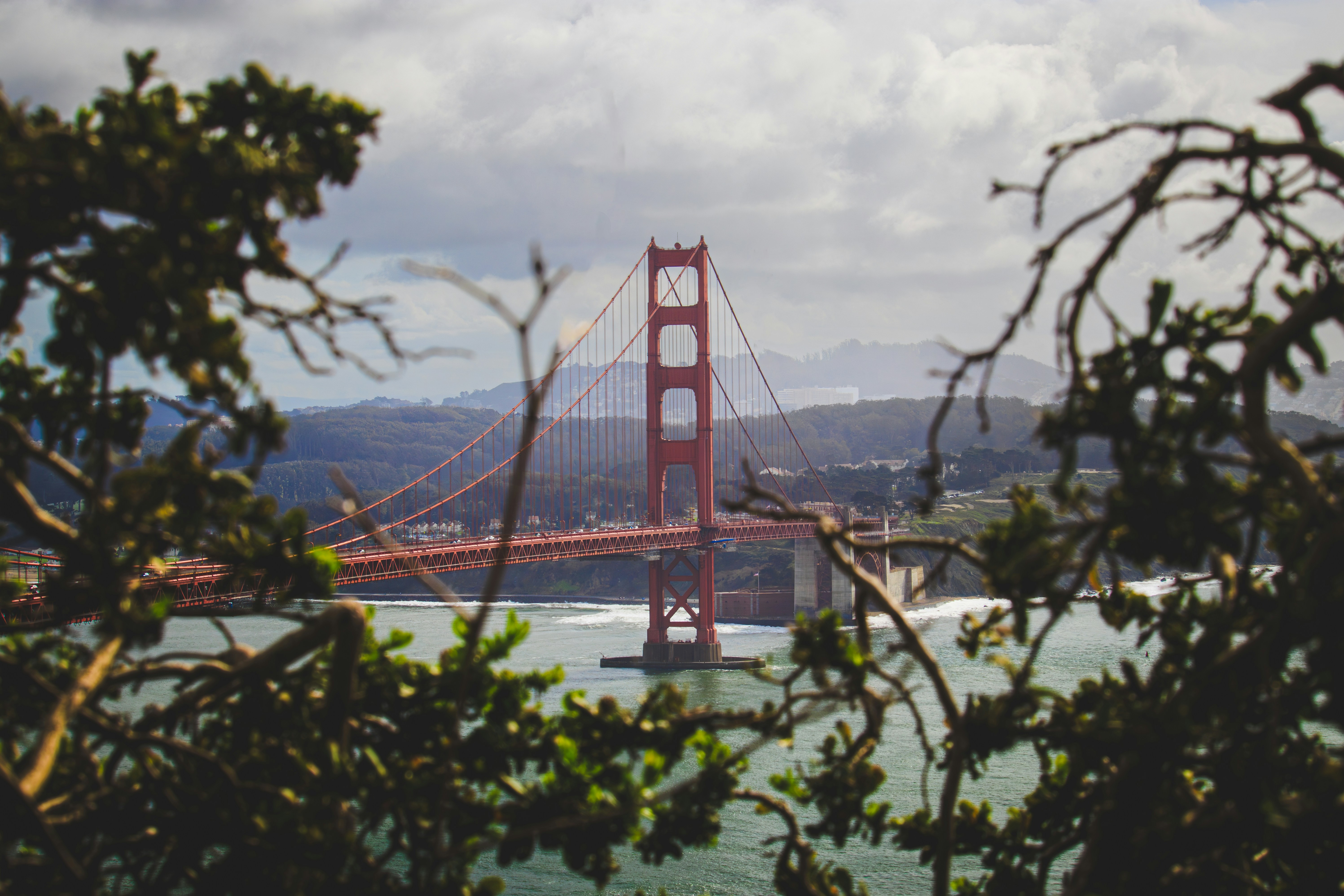 Photo by brice_cooper18