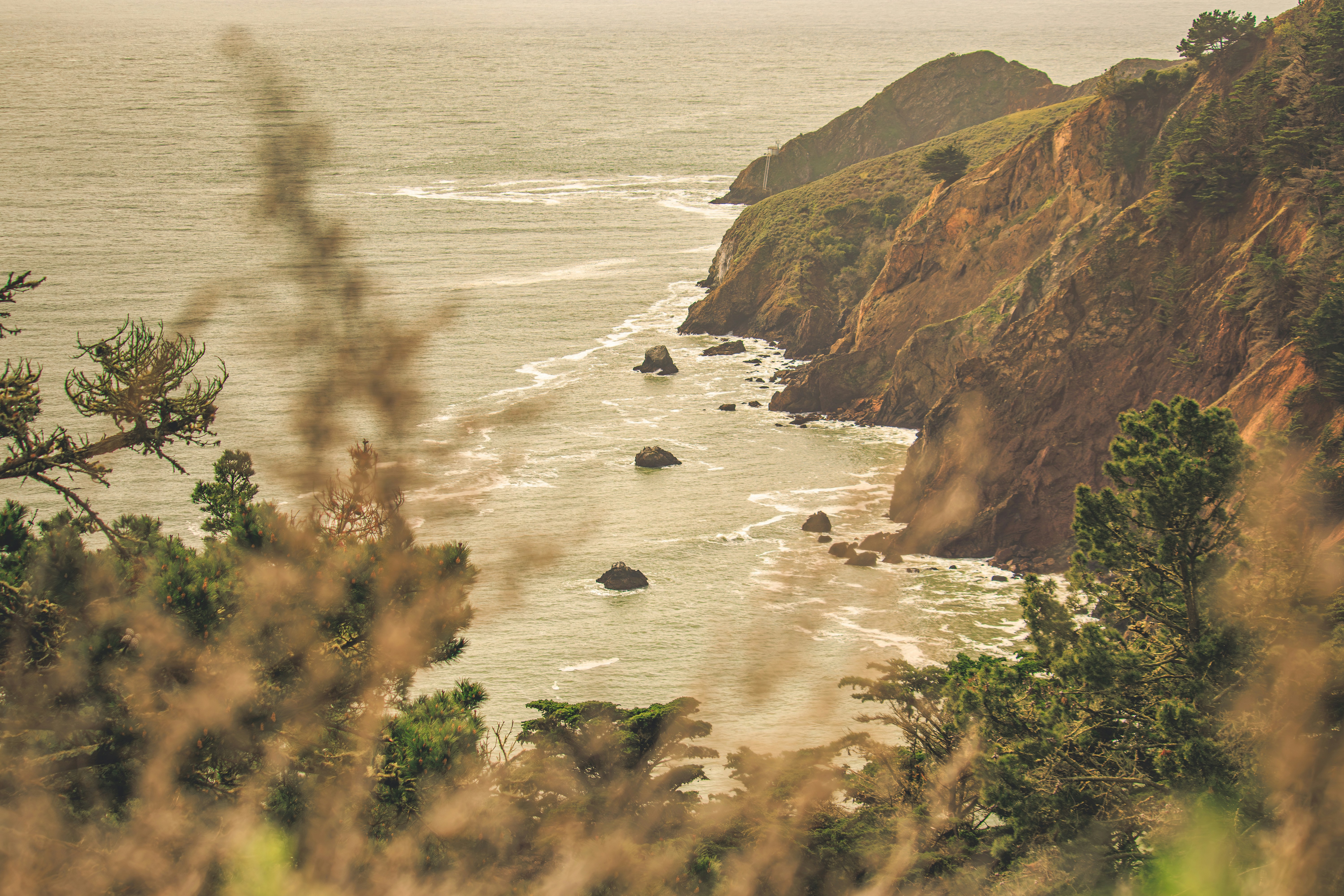 Photo by brice_cooper18