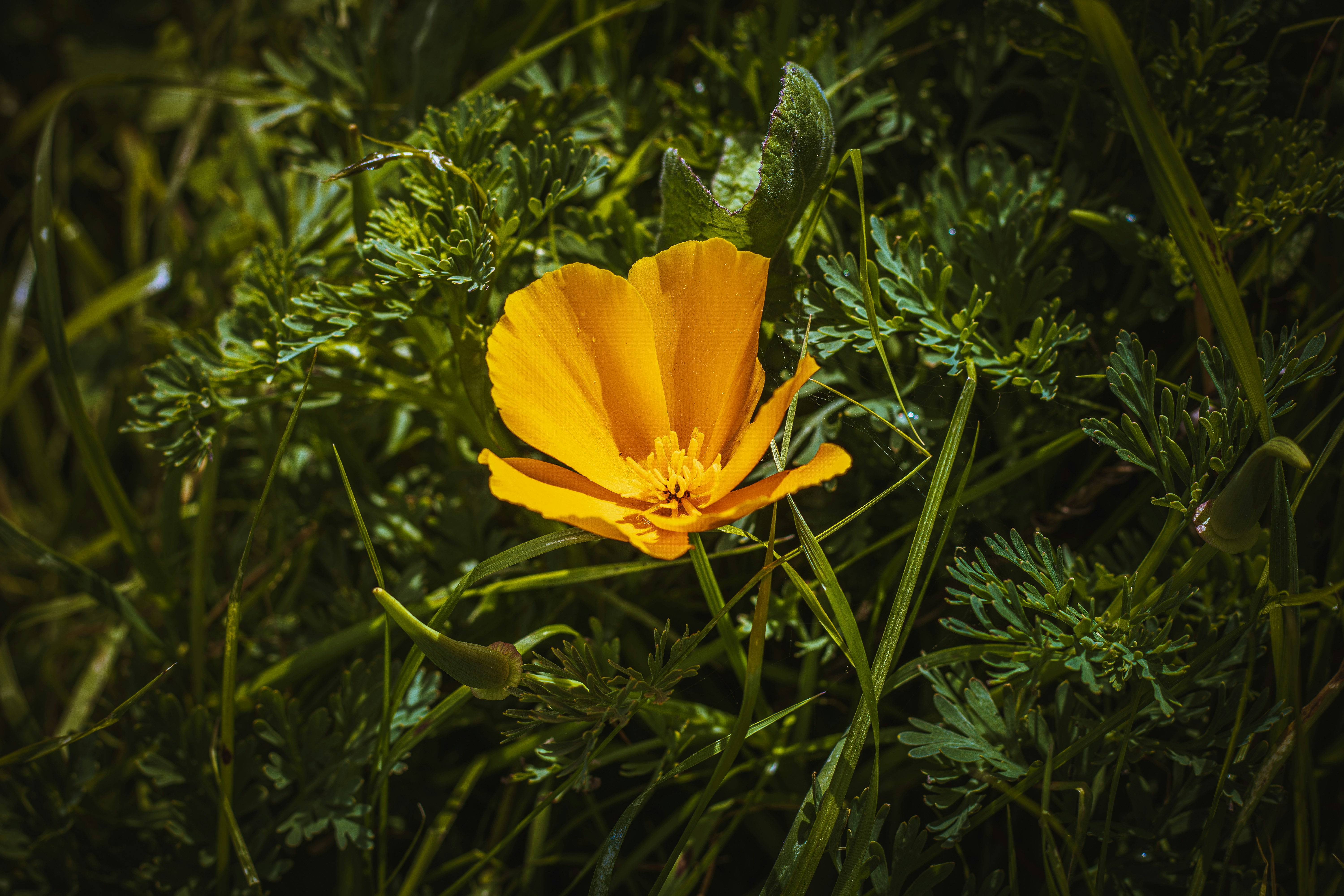 Photo by brice_cooper18