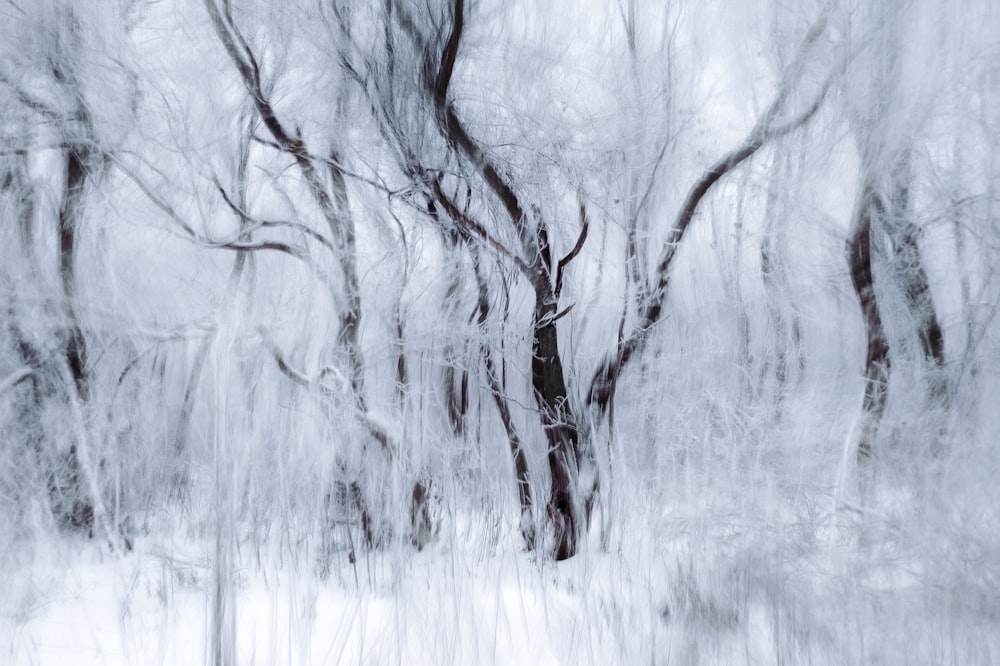 uma pintura de árvores em uma floresta nevada