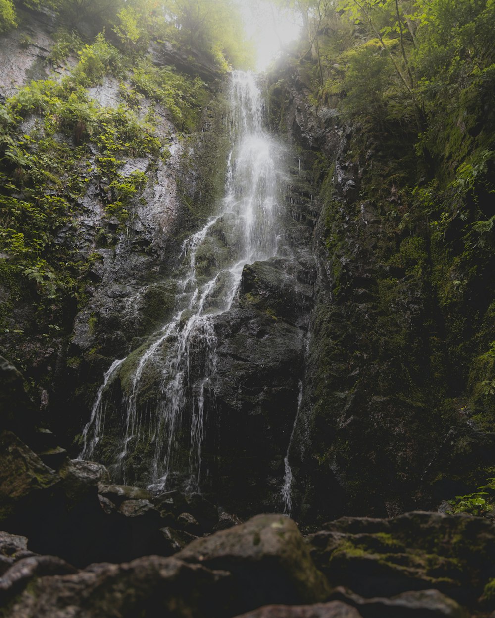 a large waterfall in the middle of a forest