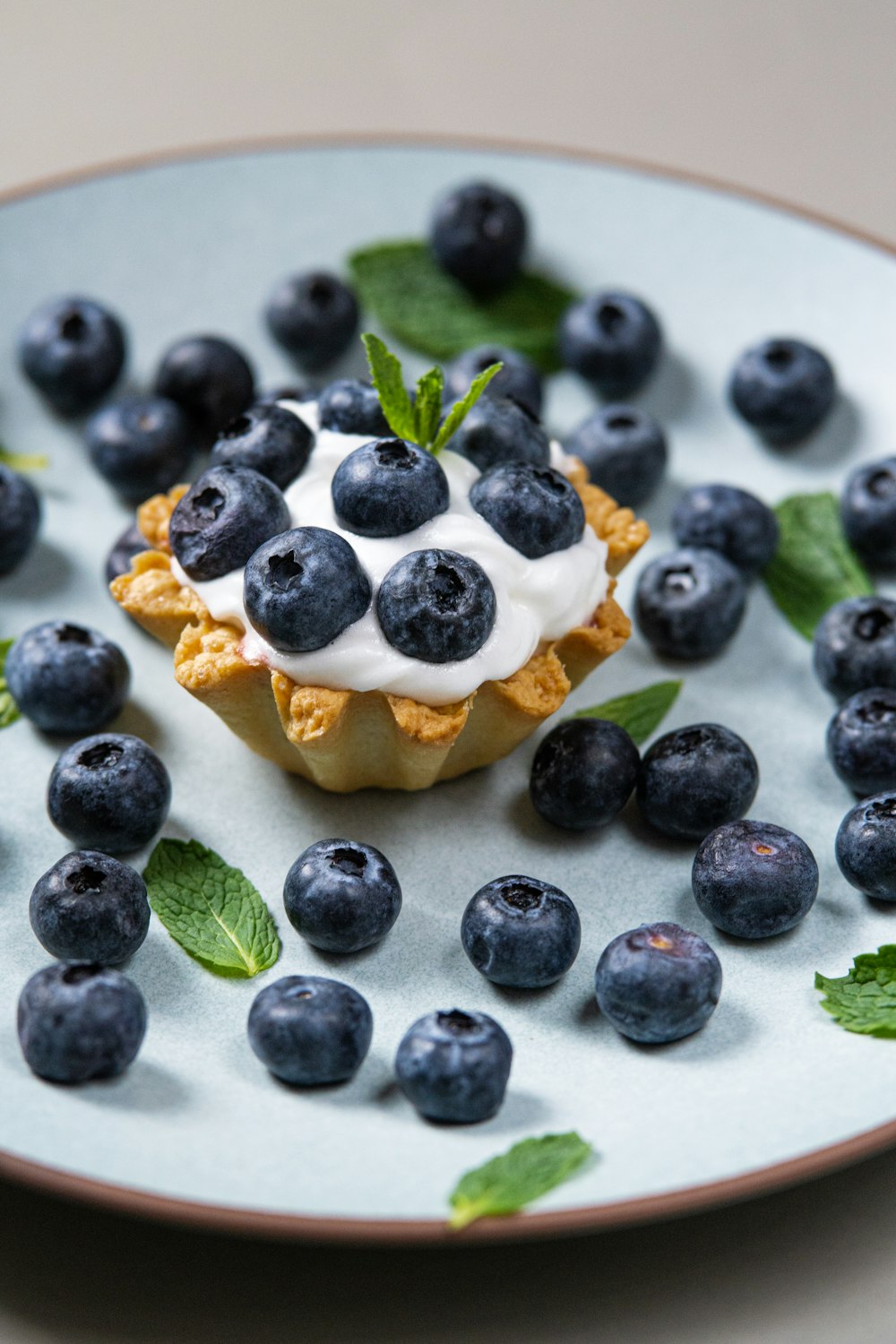 a blueberry tart on a plate with mint leaves