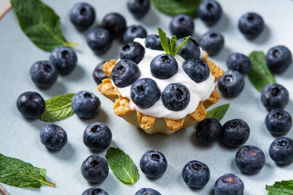 a blueberry tart topped with whipped cream surrounded by fresh blueberries