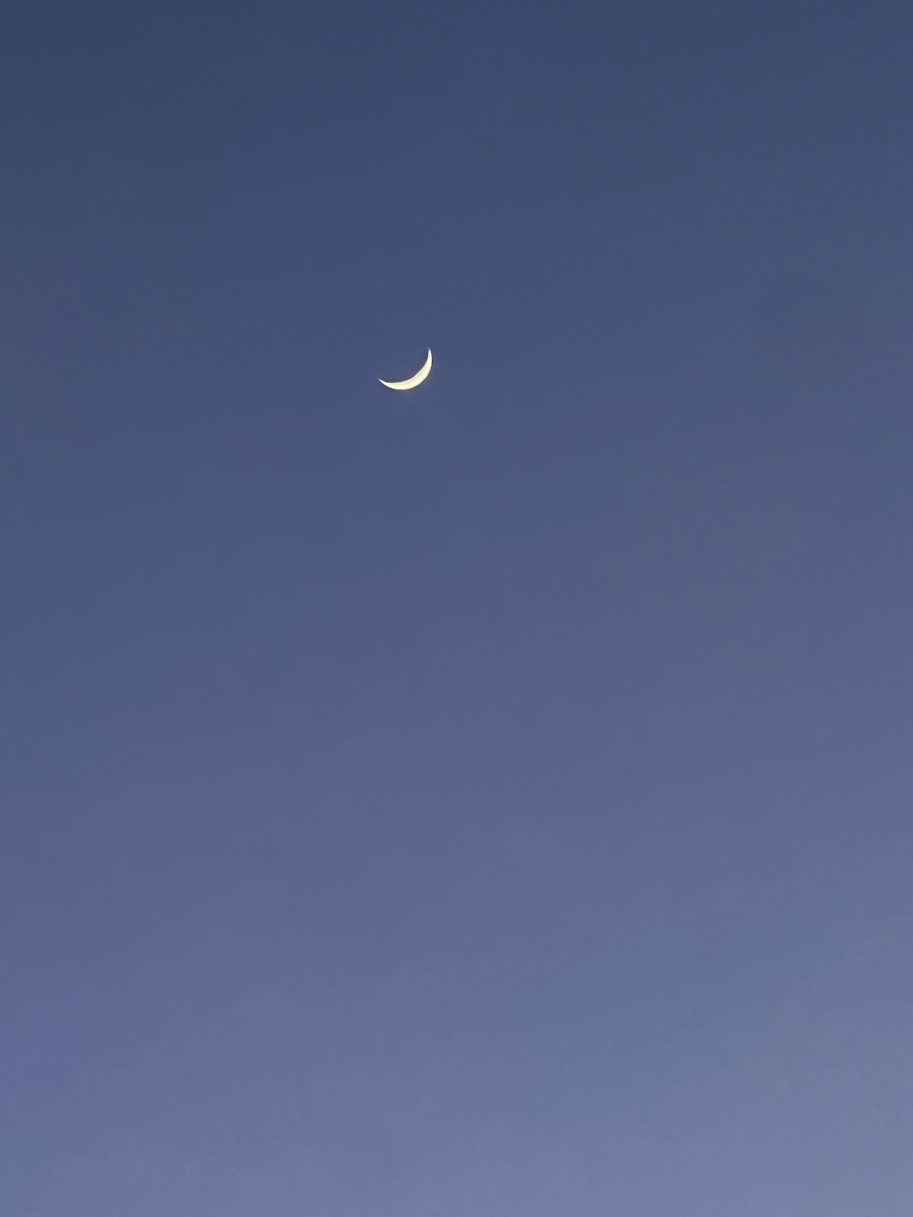 Photo by spirit_molecule391