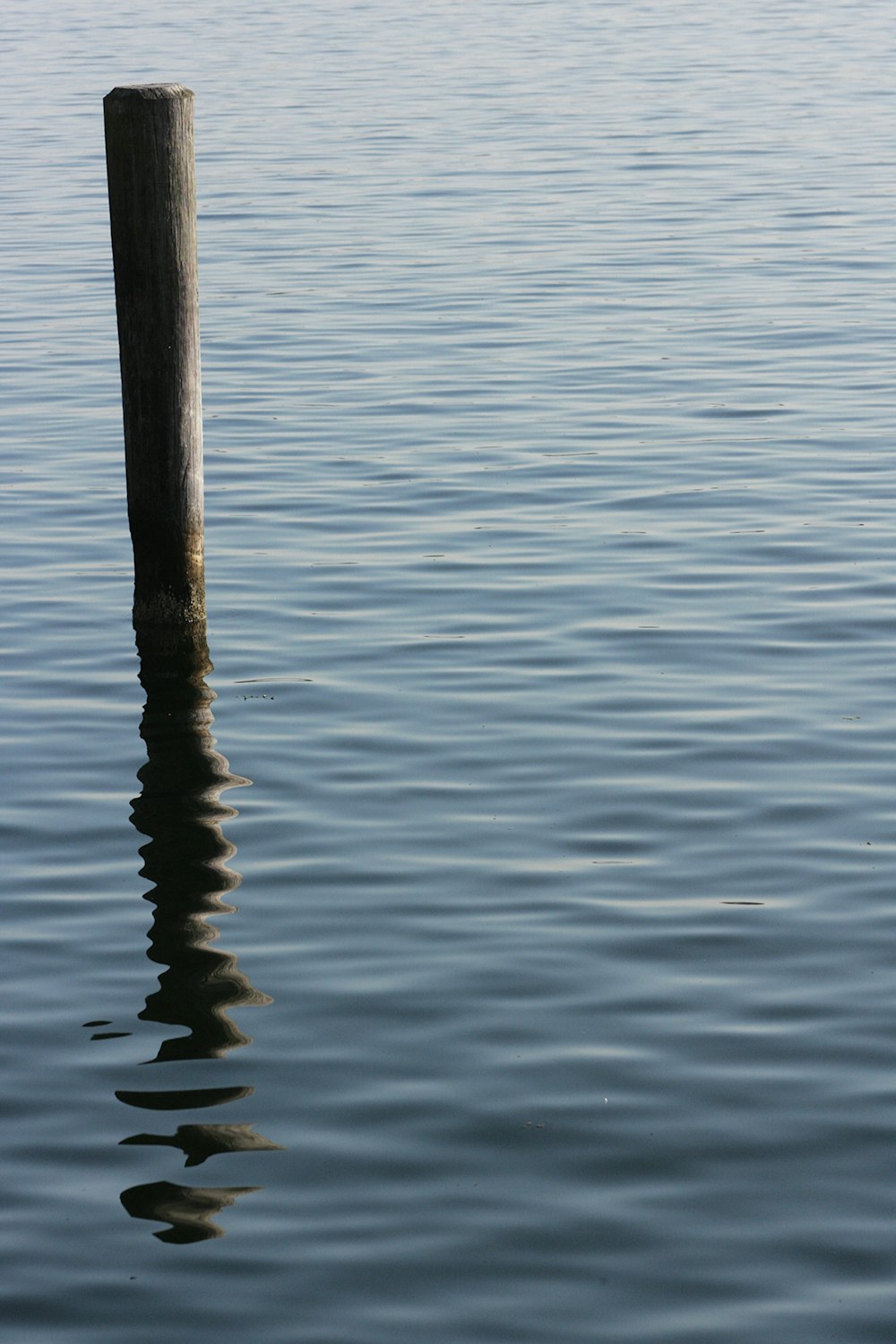 a wooden pole sticking out of the water