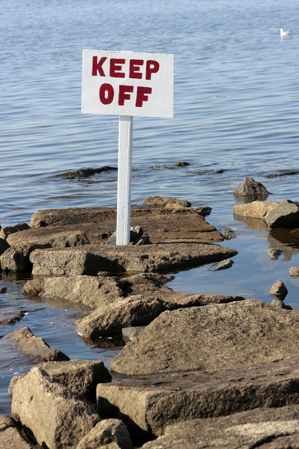 a keep off sign sitting on the edge of a body of water