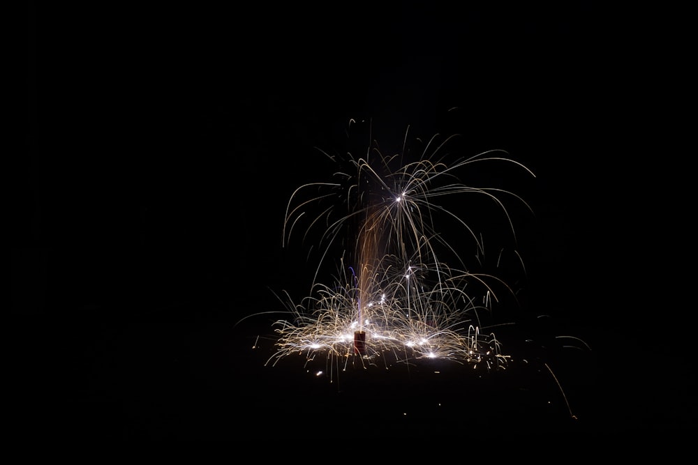 a bunch of fireworks that are in the dark