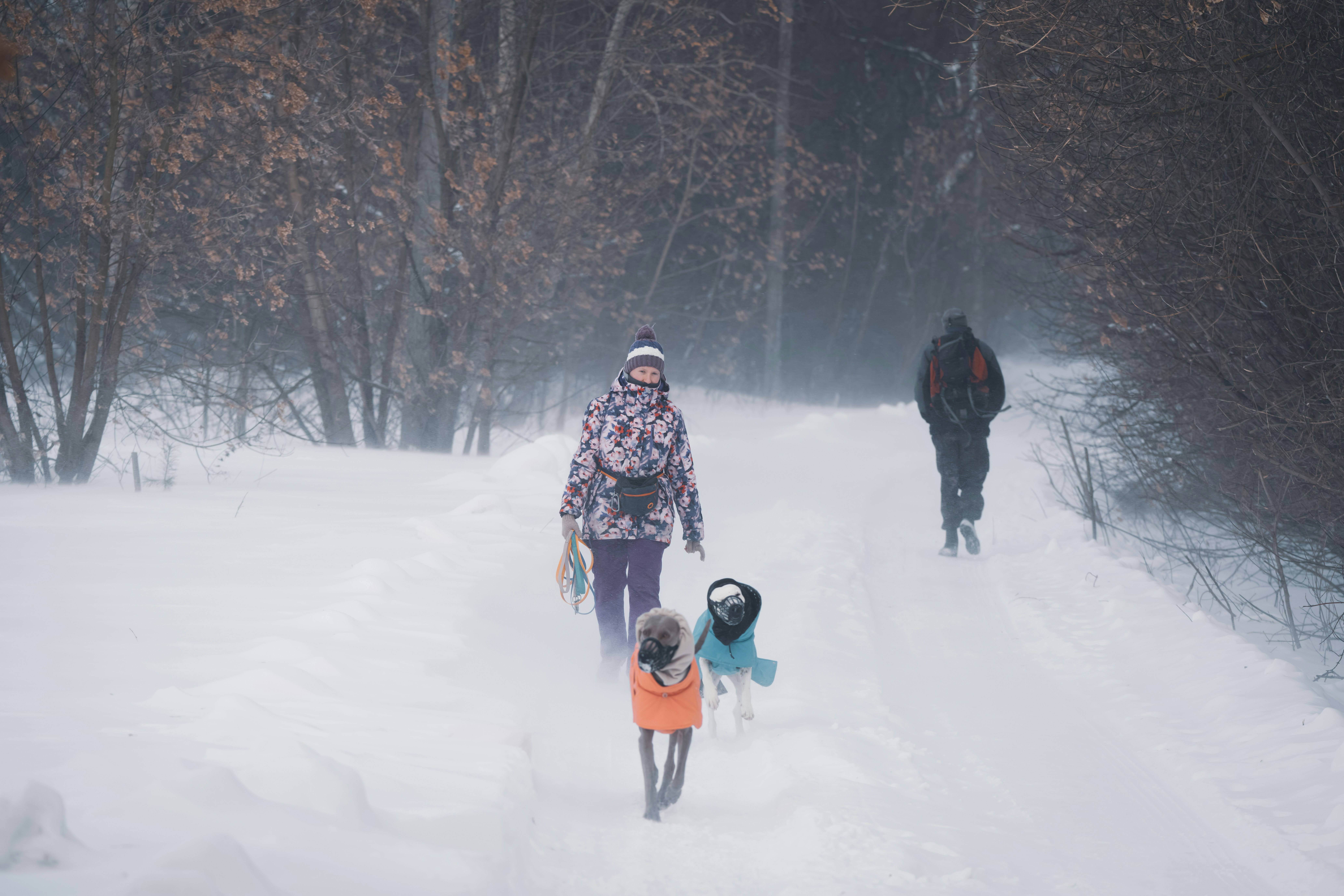 Familie nutzt Tablet-App zur Kommunikation mit Senioren