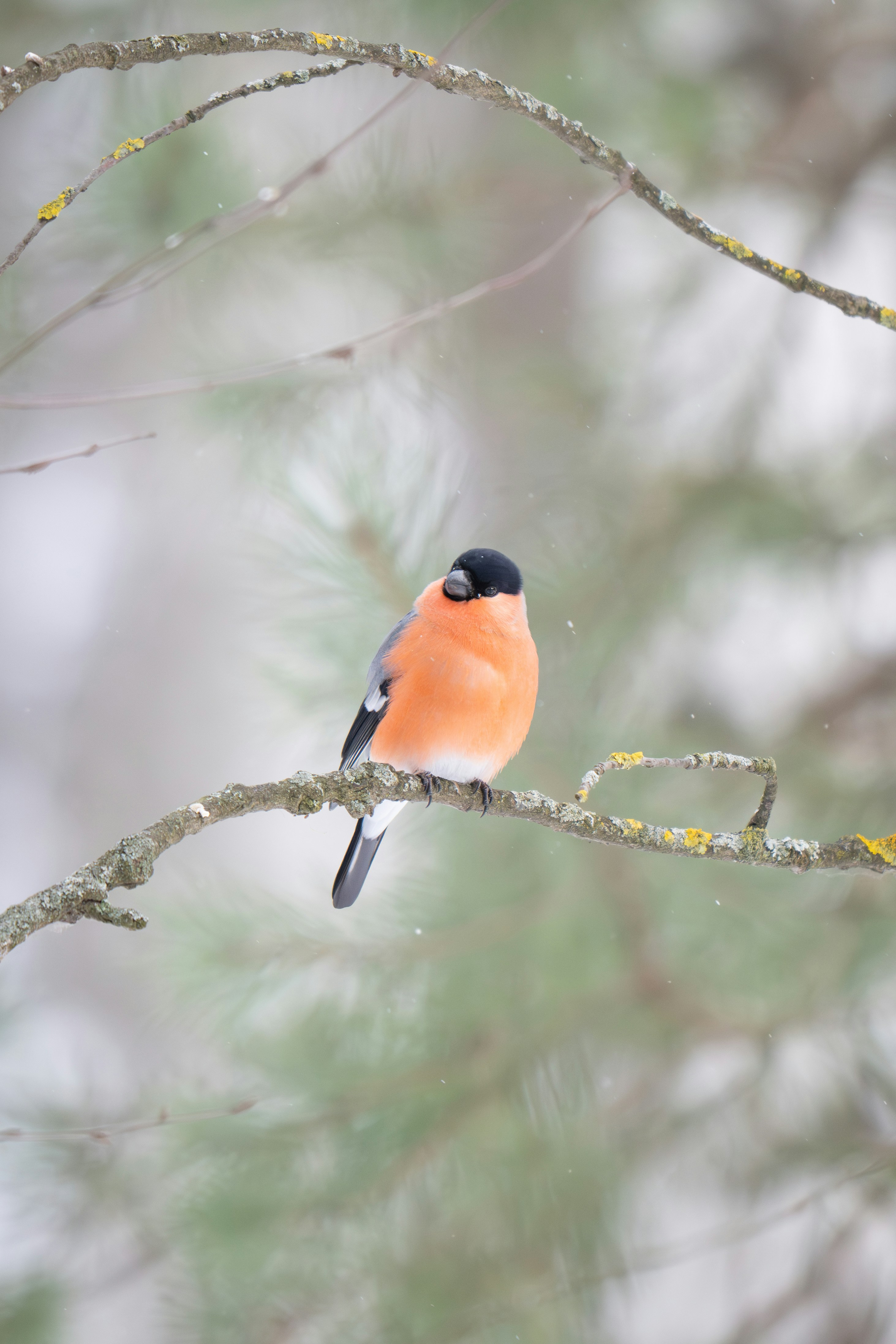 Photo by andreystrizhkov